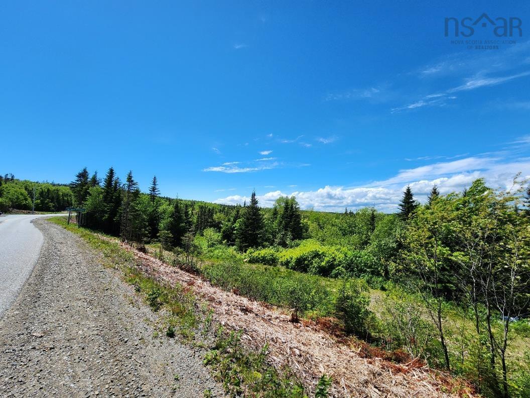 $55,000.00: Larrys River Road, Lundy