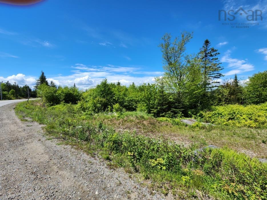 $55,000.00: Larrys River Road, Lundy