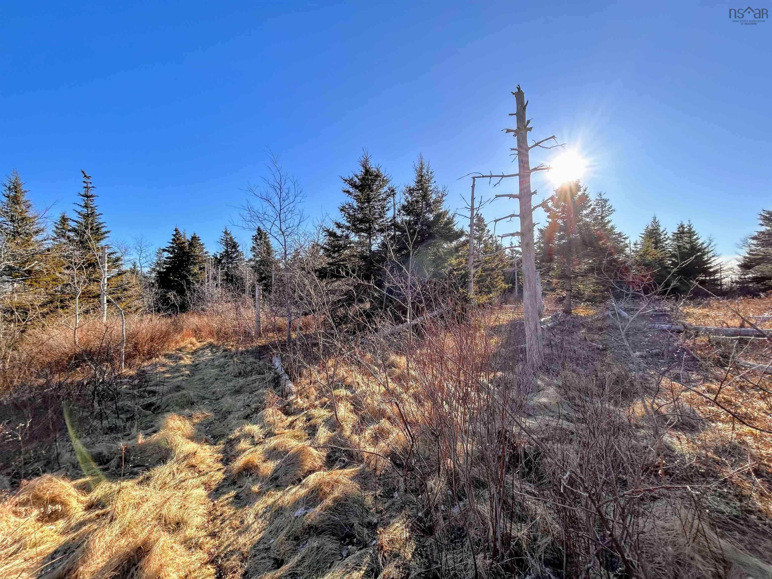 $75,900.00: Highway 16, Hazel Hill