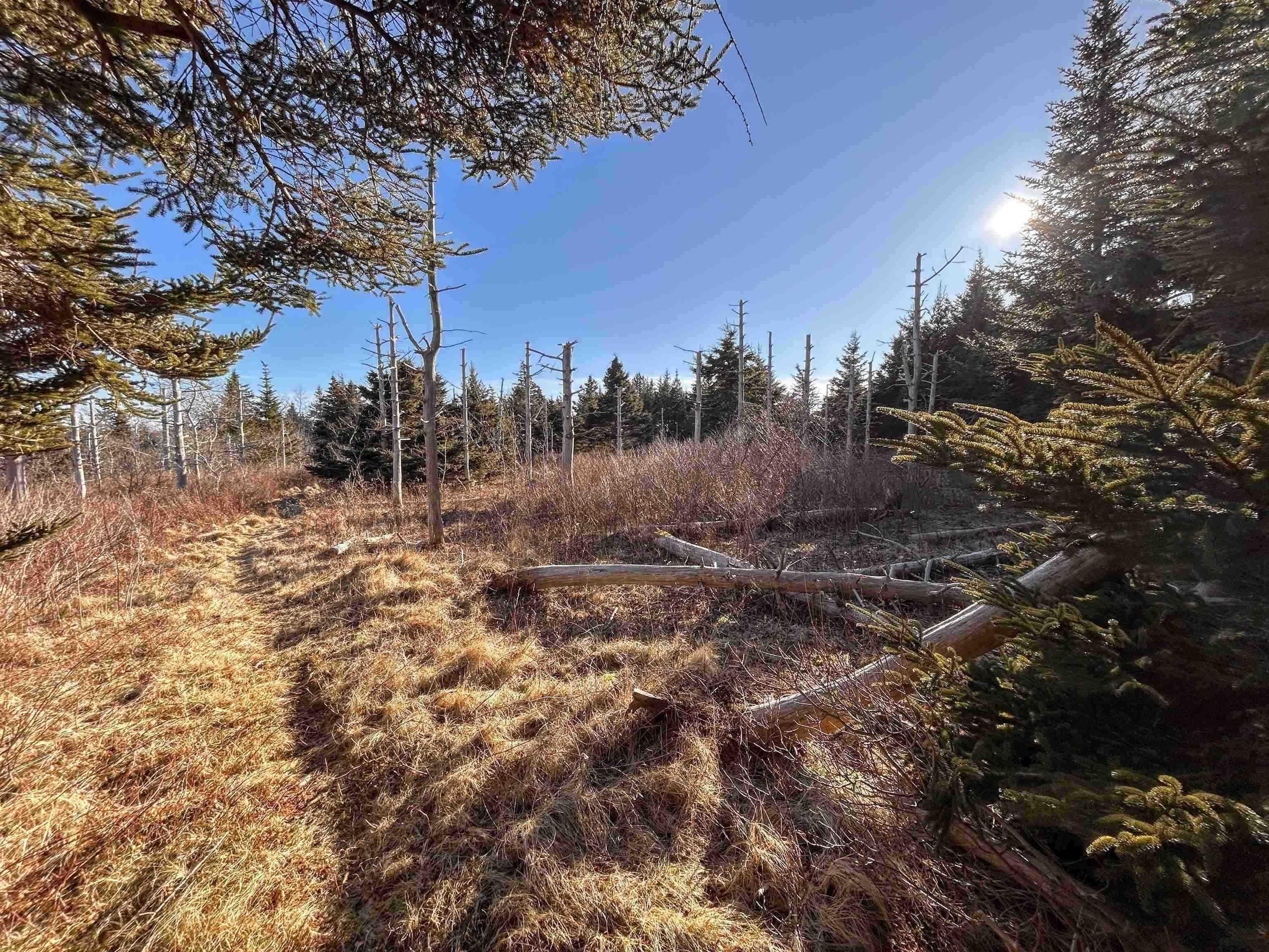 $75,900.00: Highway 16, Hazel Hill