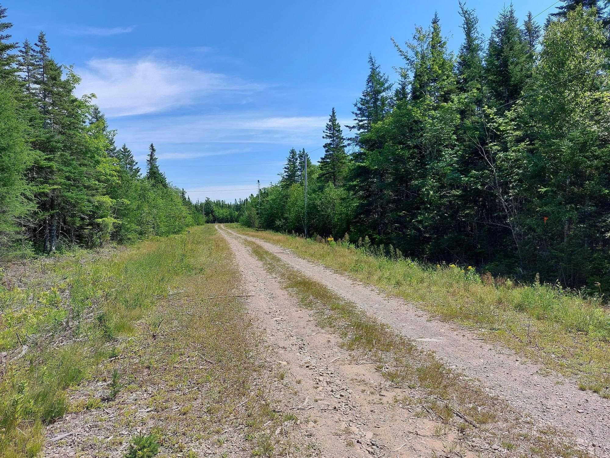 $79,000.00: Lot 98-7C Gabe MacIsaac, Salem Road, Loch Lomond