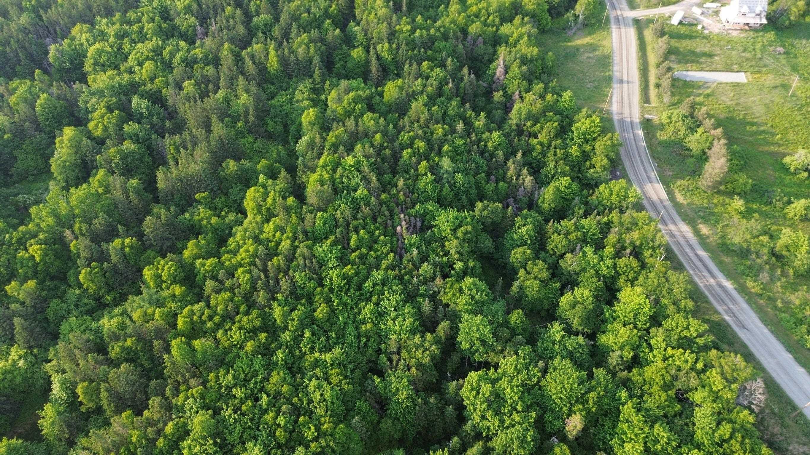 $19,000.00: Lot Mabou Mines Road, Mabou Harbour