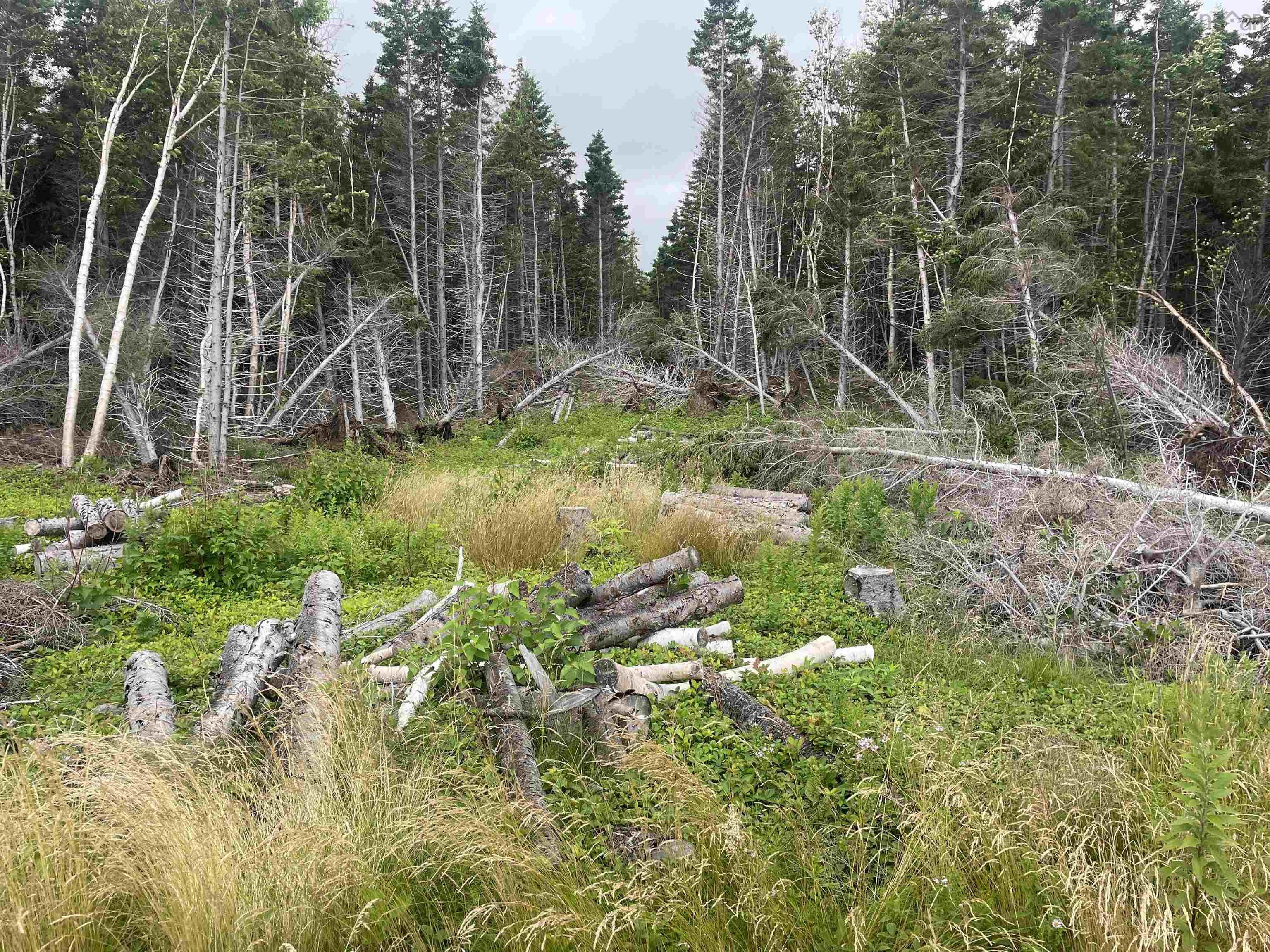$190,000.00: Cabot Trail, Wreck Cove