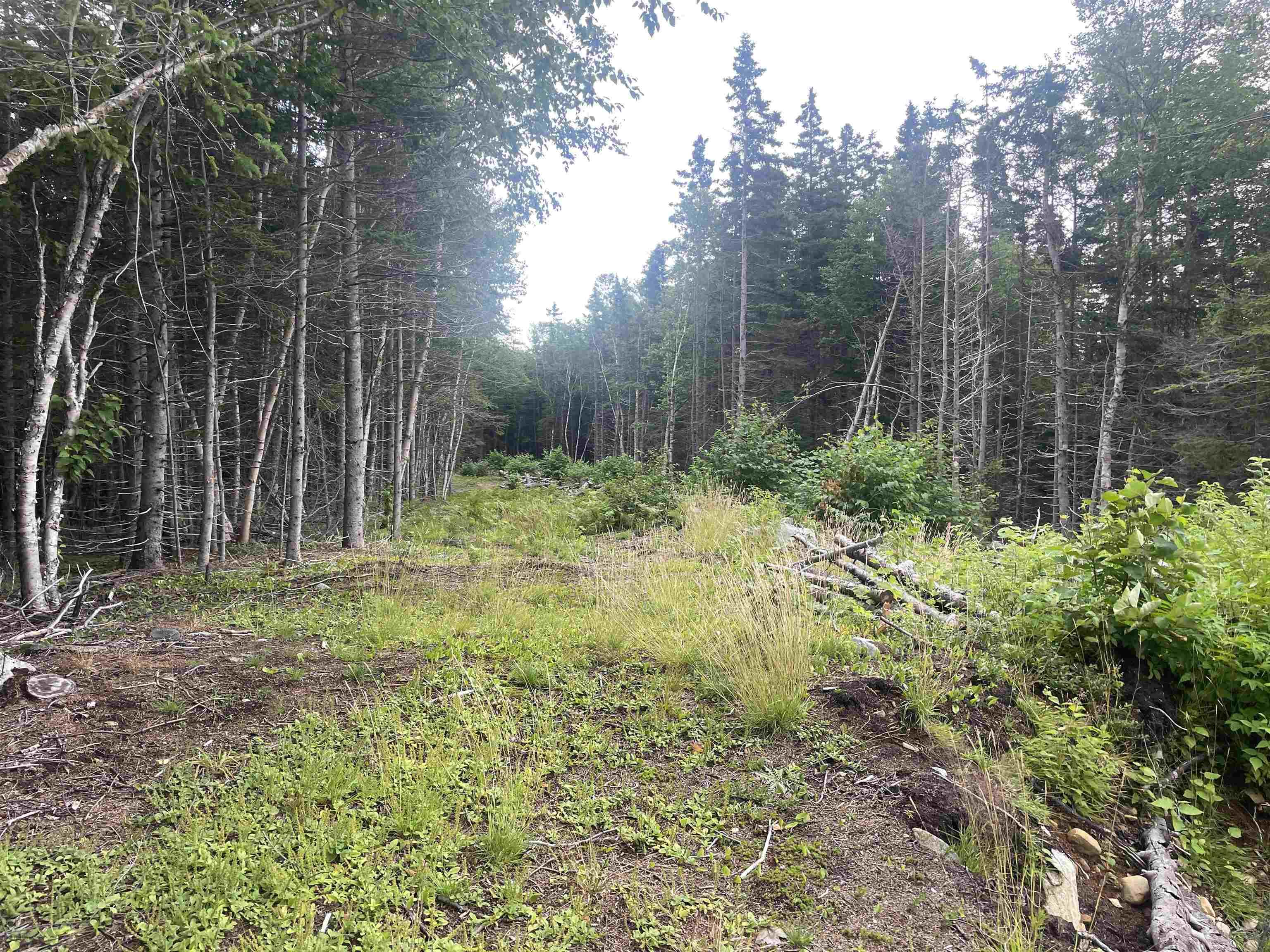 $190,000.00: Cabot Trail, Wreck Cove