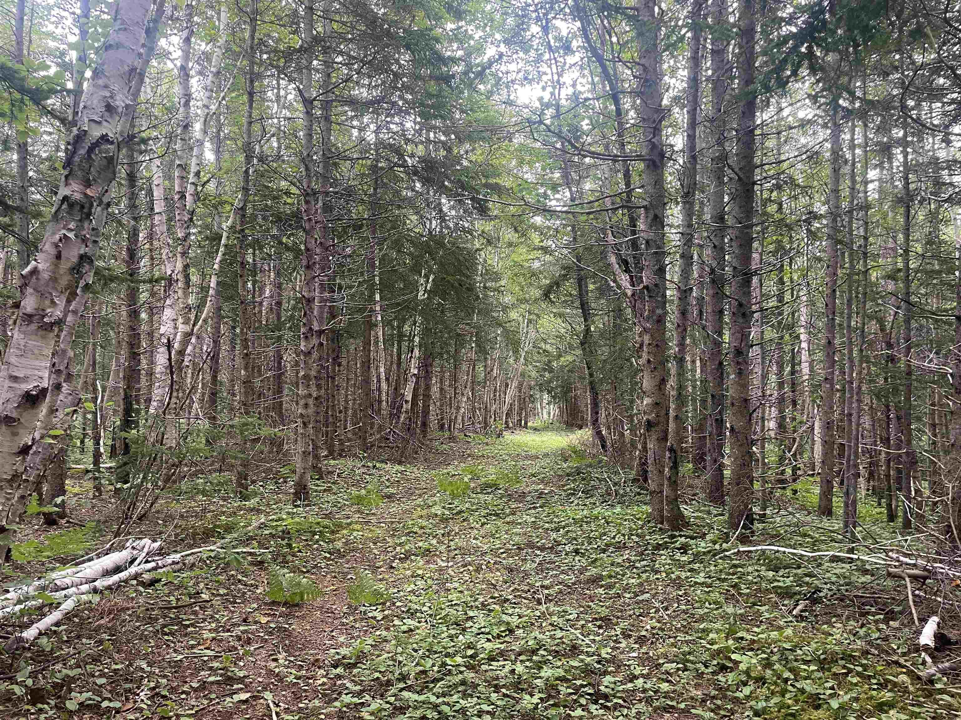 $190,000.00: Cabot Trail, Wreck Cove