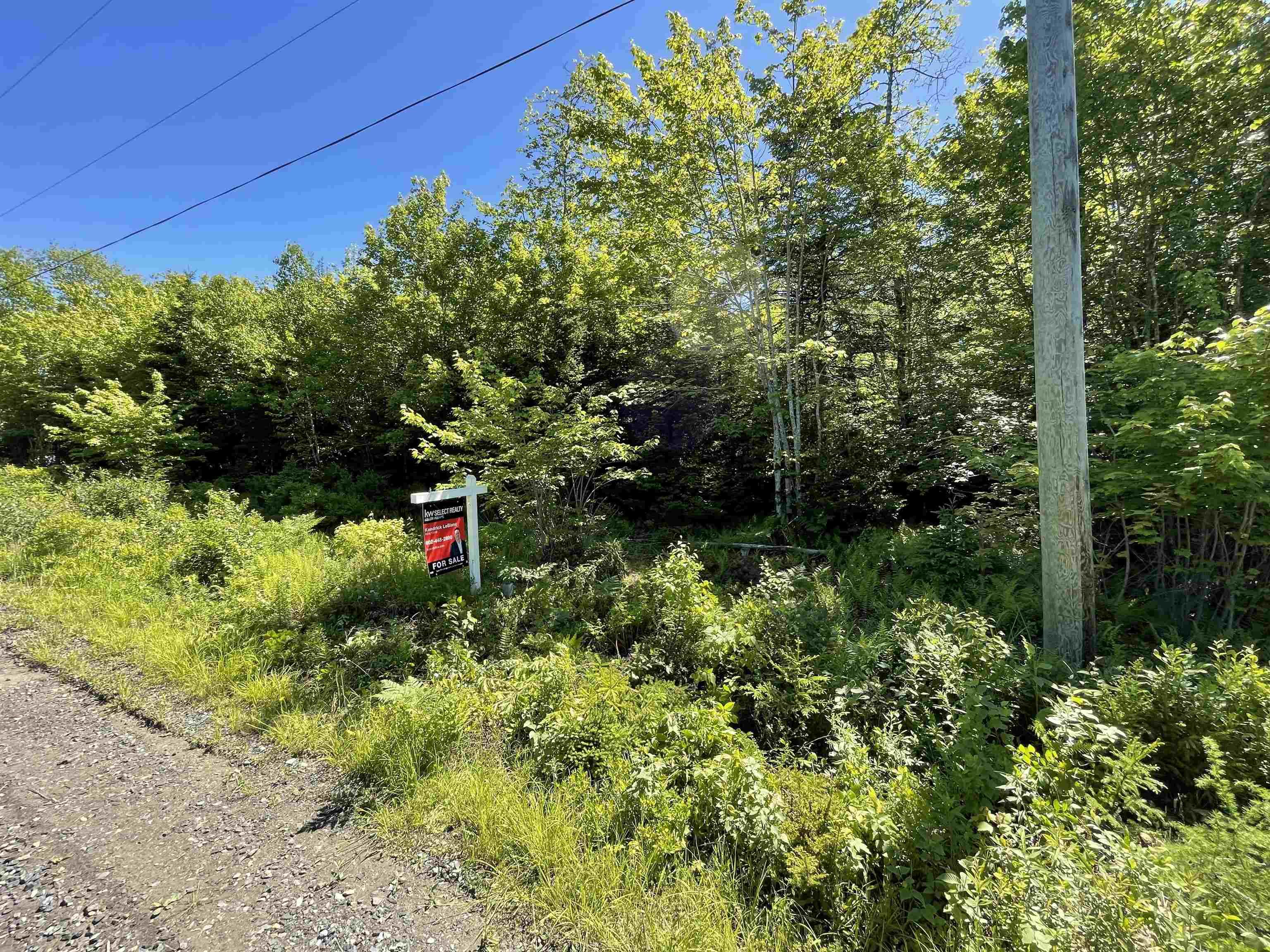 $64,900.00: Lot 13 Old Ellie Lane, Brazil Lake