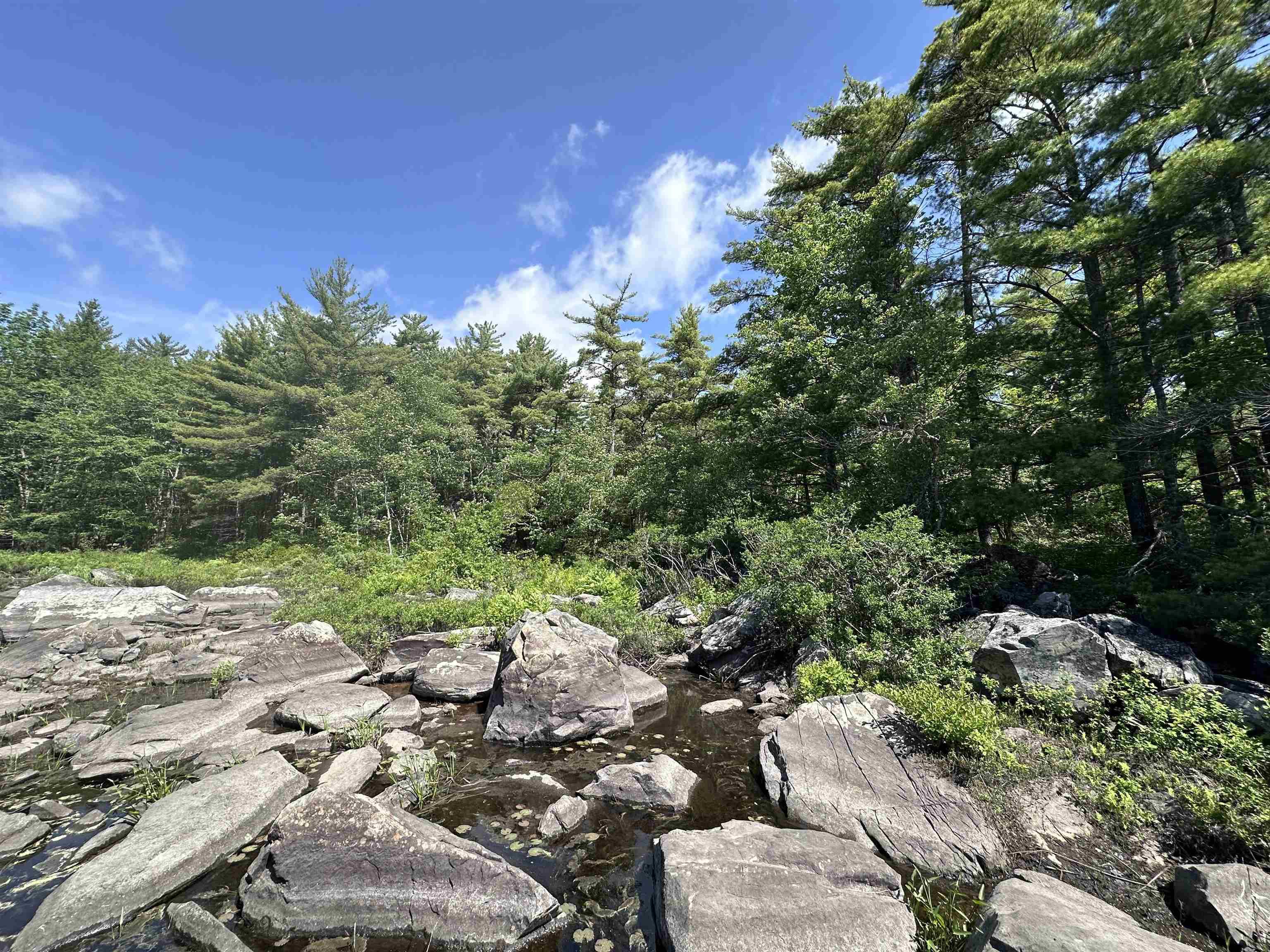 $65,000.00: Lot 1 Mint Brook Road, Molega North