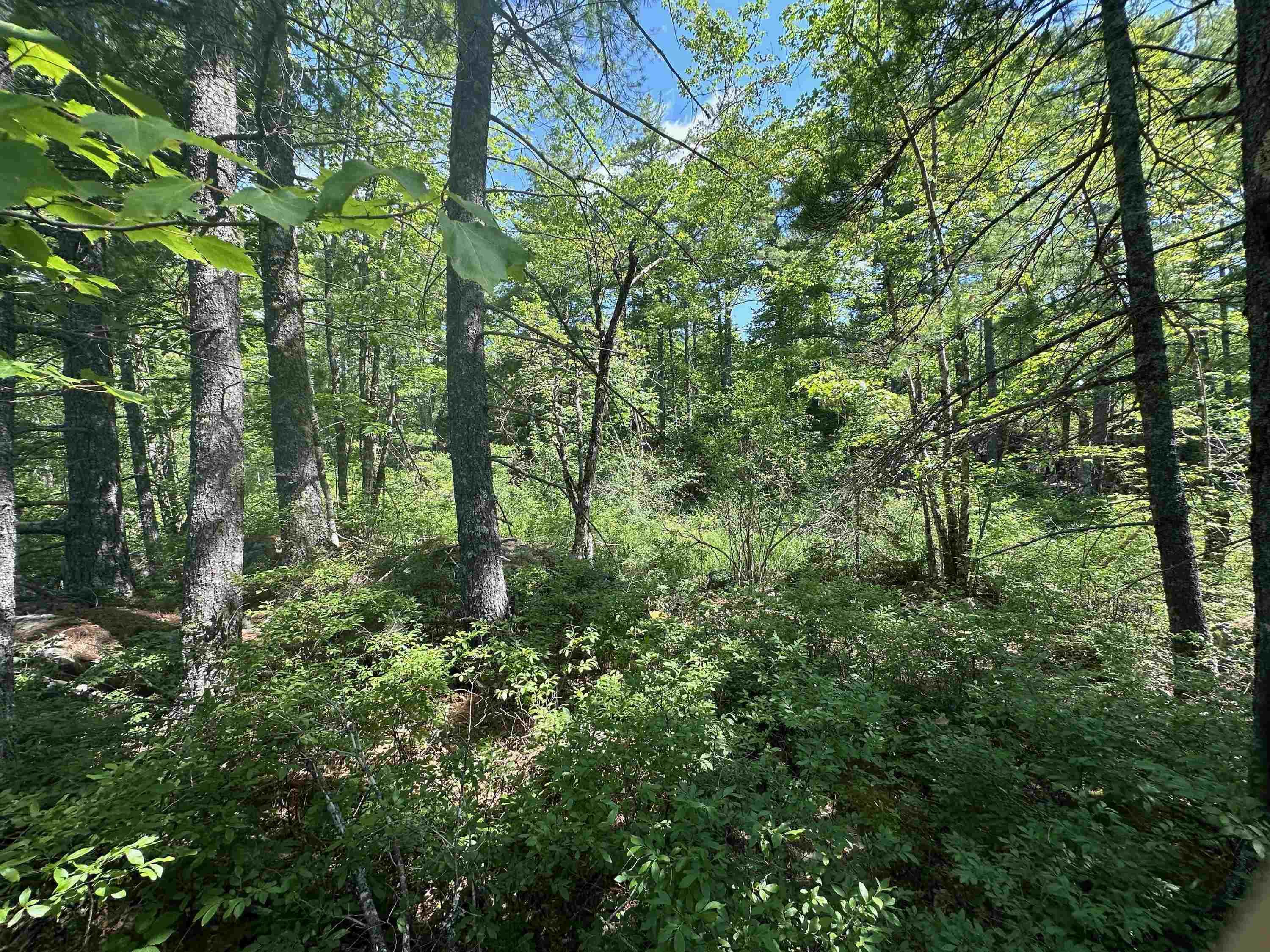 $65,000.00: Lot 1 Mint Brook Road, Molega North
