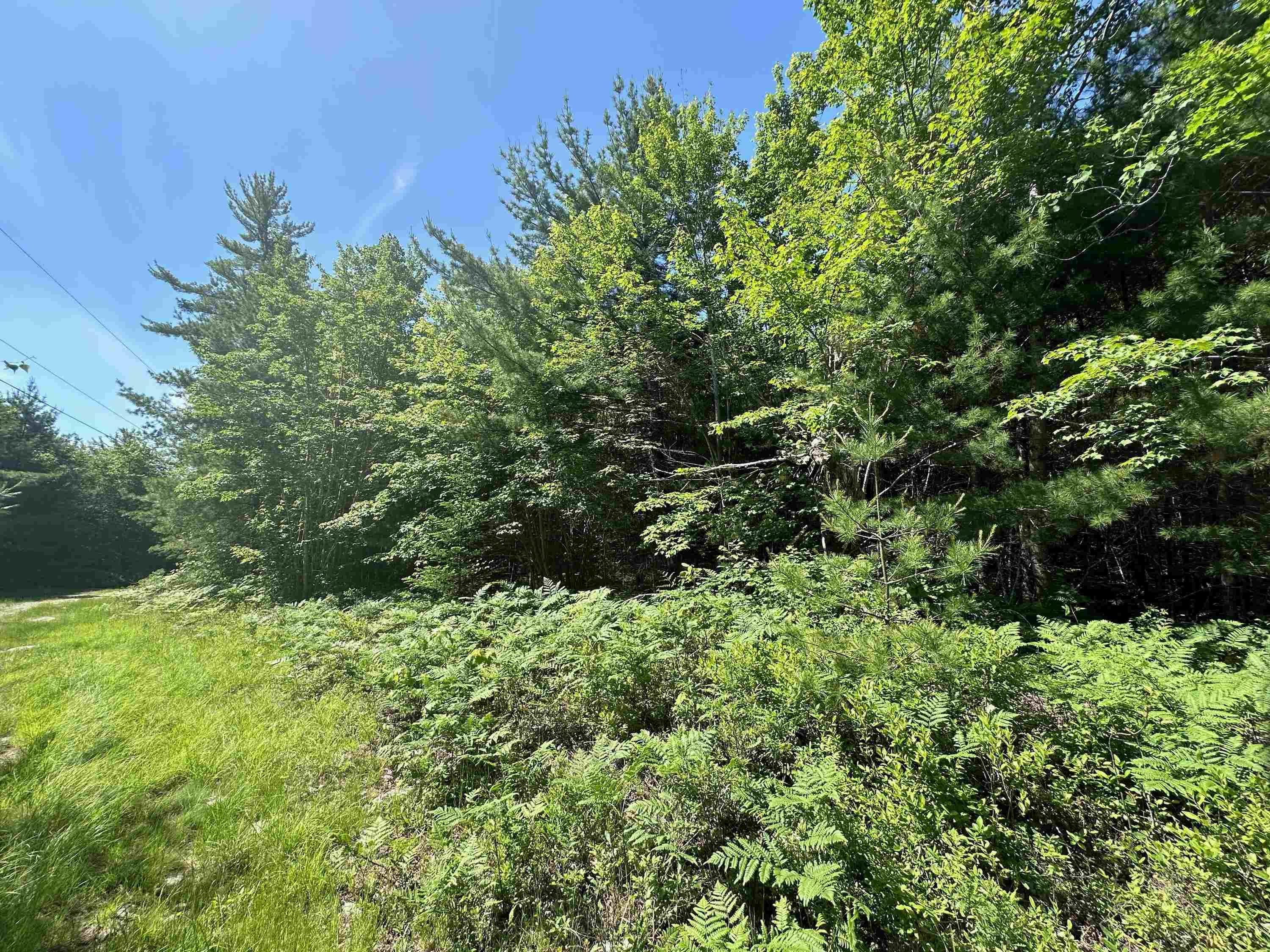 $65,000.00: Lot 1 Mint Brook Road, Molega North