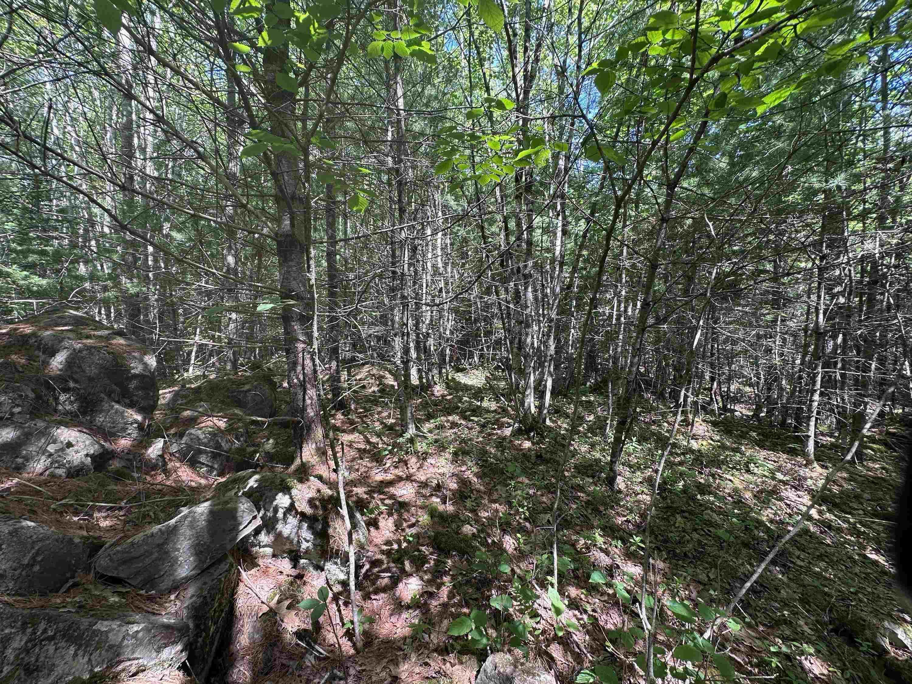 $65,000.00: Lot 1 Mint Brook Road, Molega North