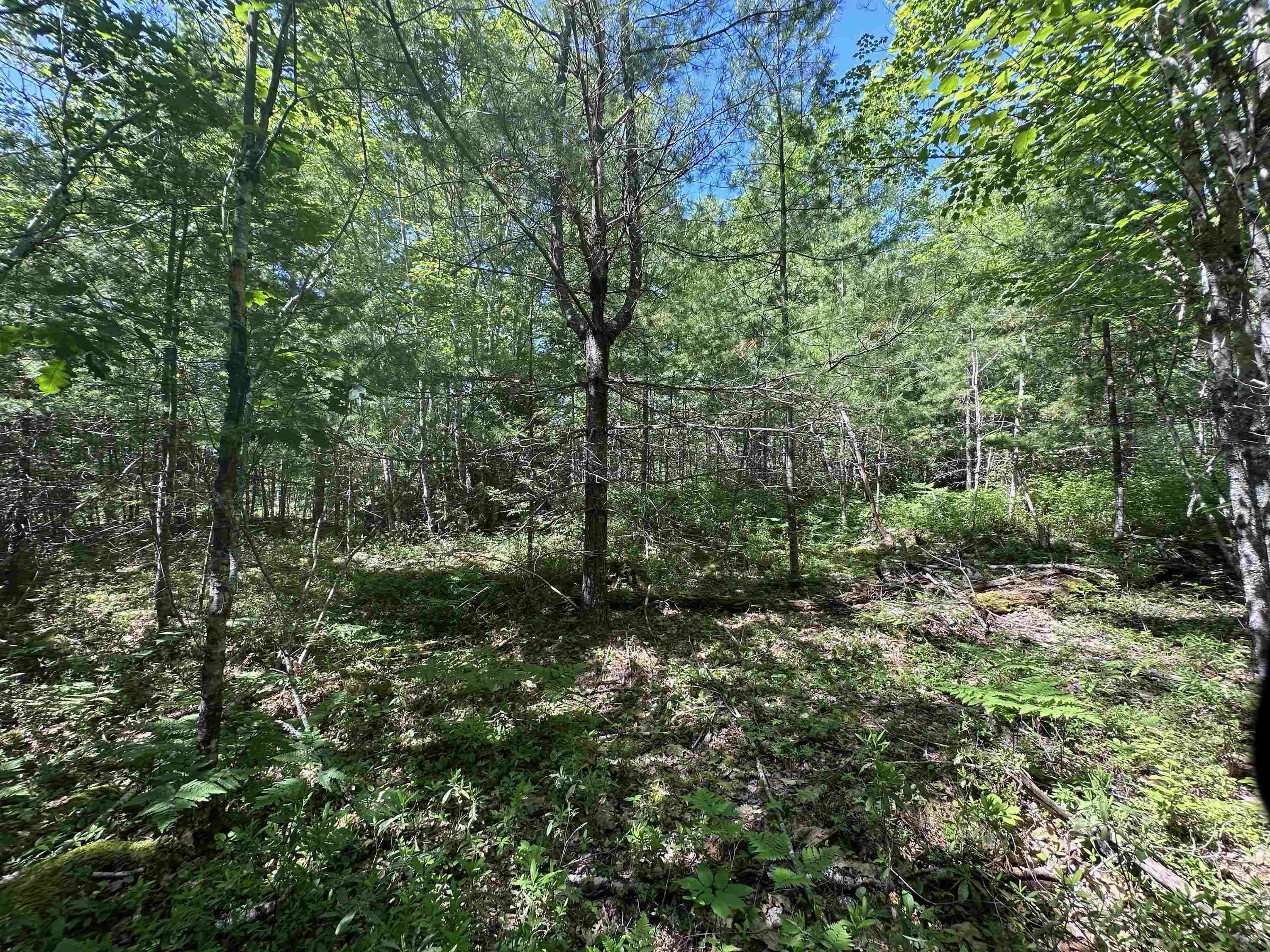$65,000.00: Lot 1 Mint Brook Road, Molega North
