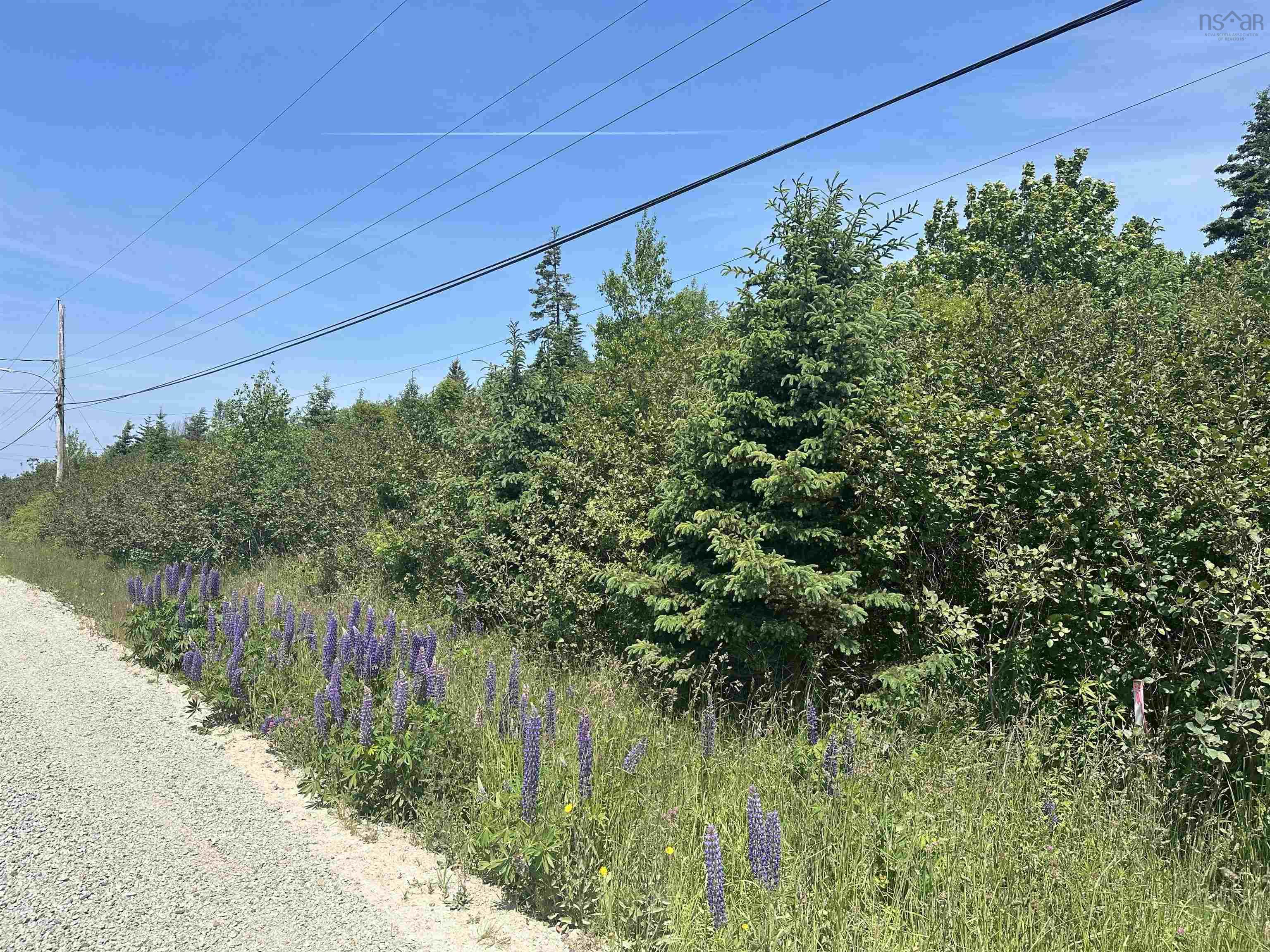$54,000.00: 9 Park Drive, Brooklyn
