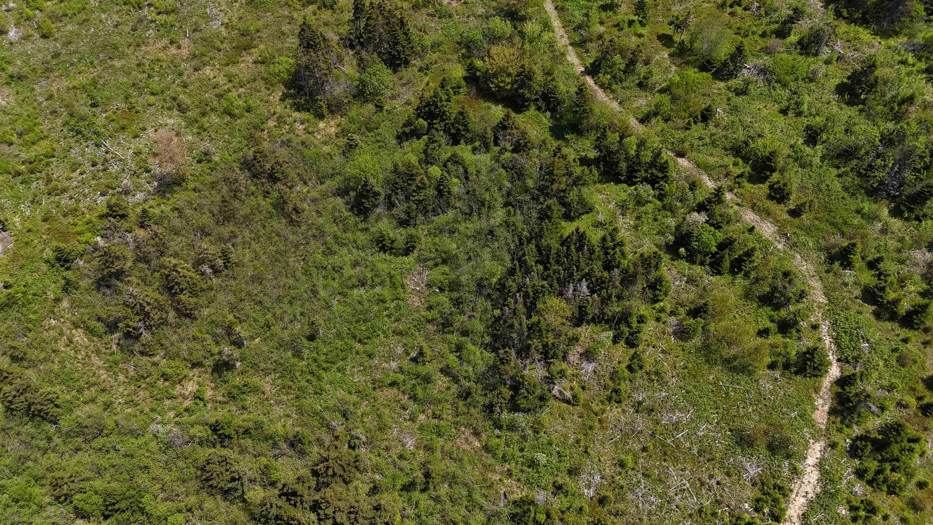 $56,500.00: Highway 344, Sand Point
