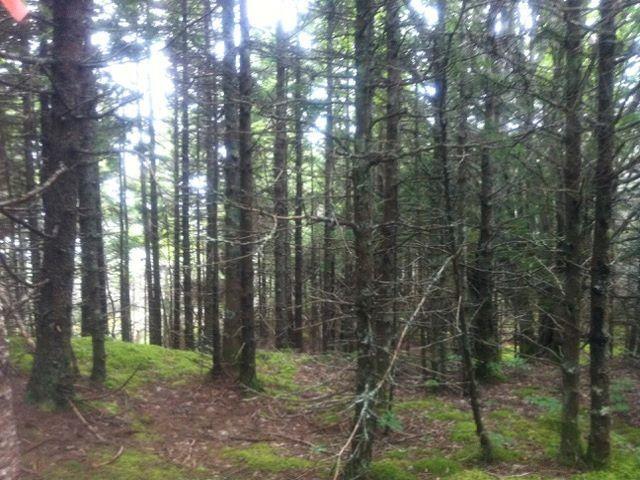 $19,900.00: Lot 37 Bay Shore Crescent, Lake Midway