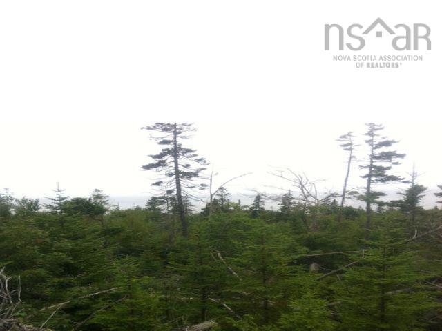 $19,900.00: Lot 37 Bay Shore Crescent, Lake Midway