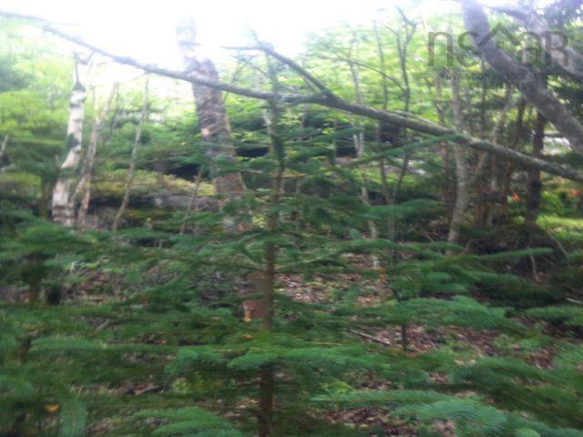 $19,900.00: Lot 37 Bay Shore Crescent, Lake Midway