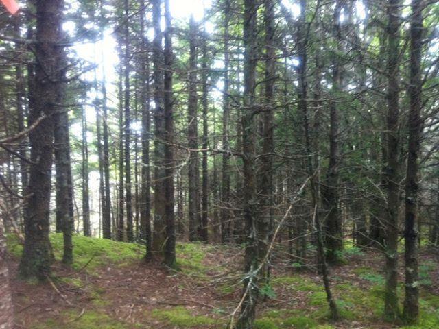 $19,900.00: Lot 37 Bay Shore Crescent, Lake Midway