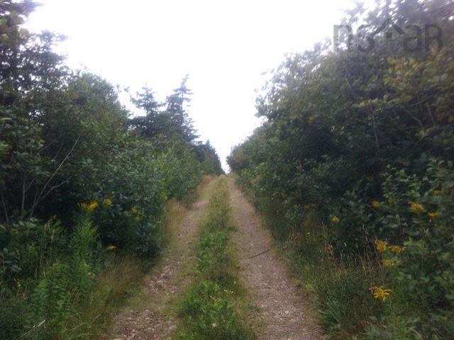 $19,900.00: Lot 37 Bay Shore Crescent, Lake Midway