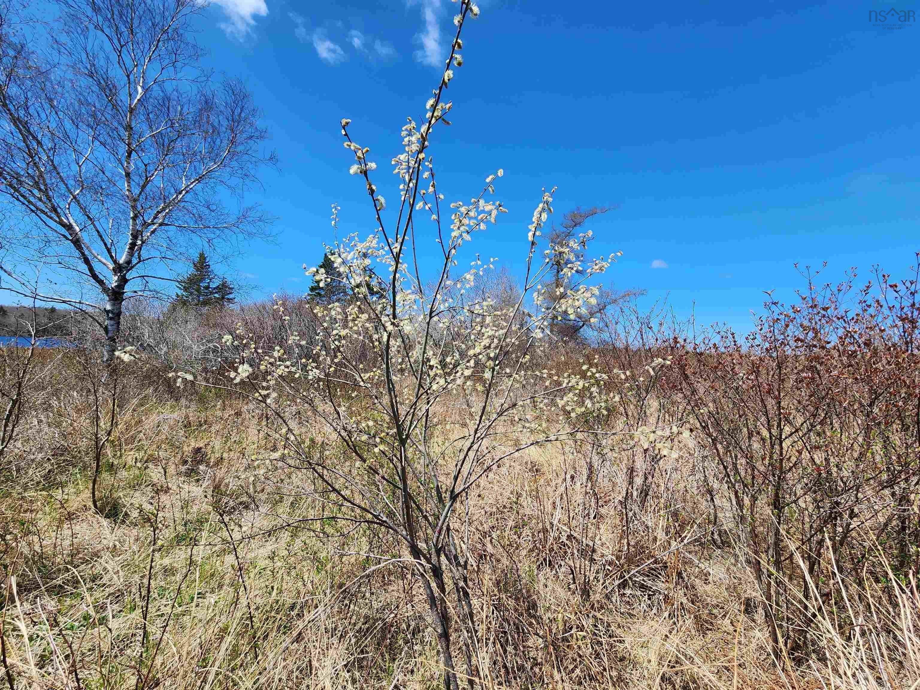$75,000.00: LOT Small Gains Road, Brooklyn