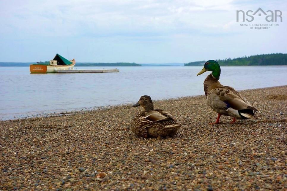 $1,599,000.00: Spectacle Island, Mahone Bay