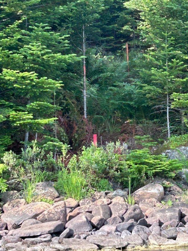 $64,900.00: Lot 4 Arenburg Road, Waterloo