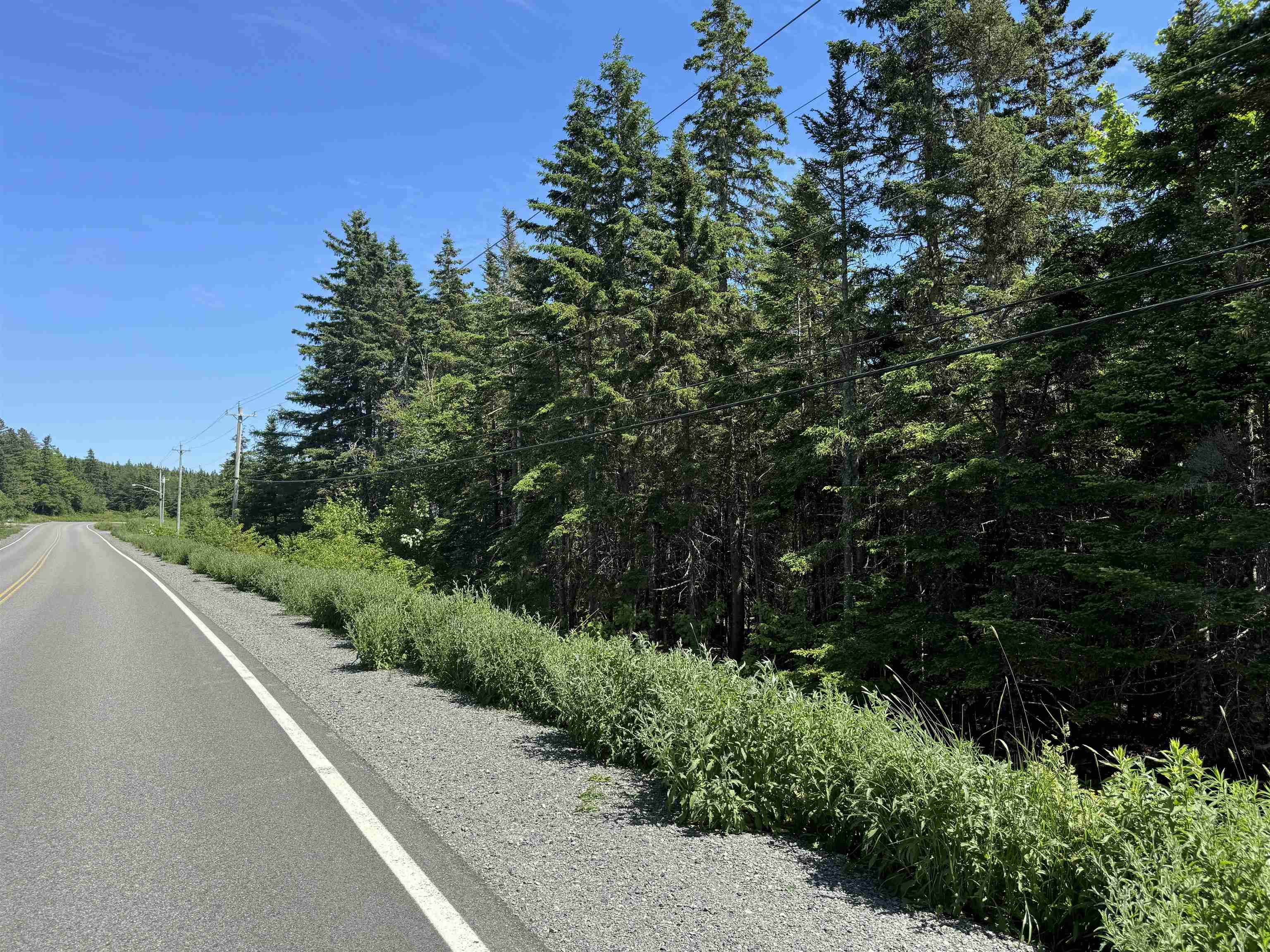 $39,000.00: 18 Acres Highway 4, Cleveland
