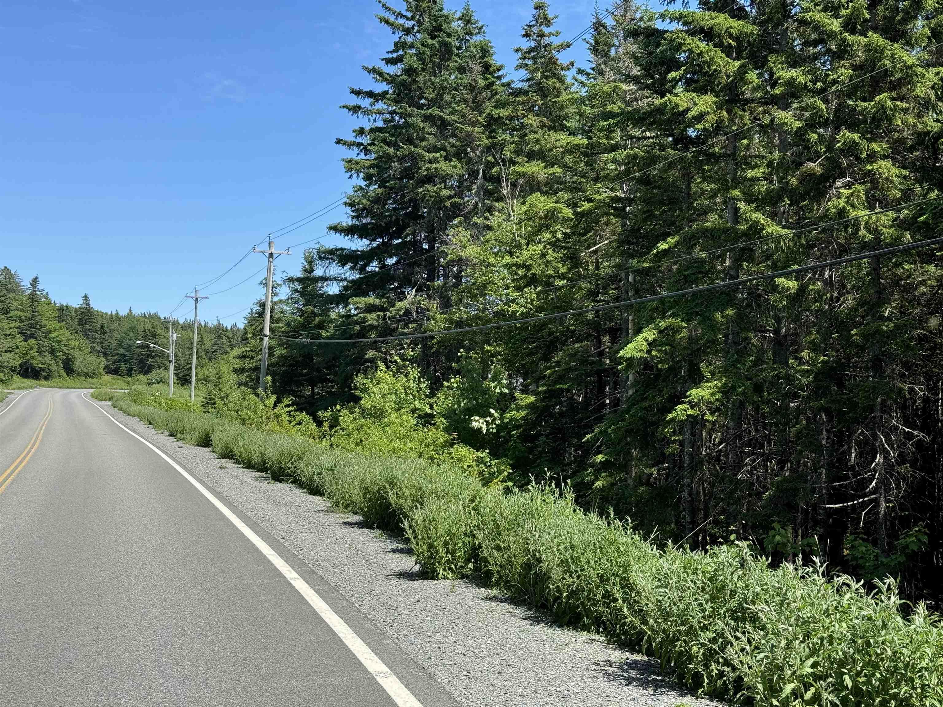 $39,000.00: 18 Acres Highway 4, Cleveland