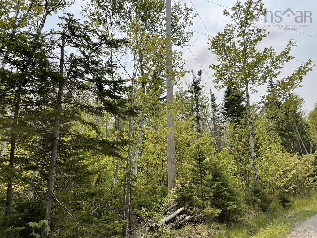 $35,000.00: Old County Road, Baddeck Inlet