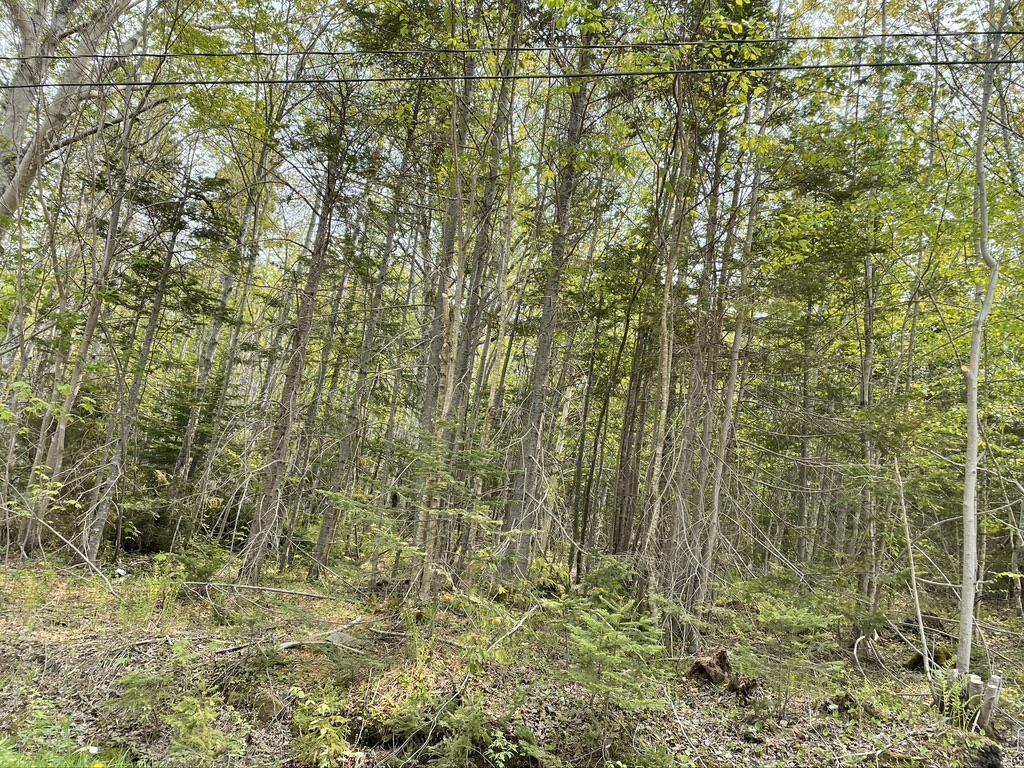 $35,000.00: Old County Road, Baddeck Inlet