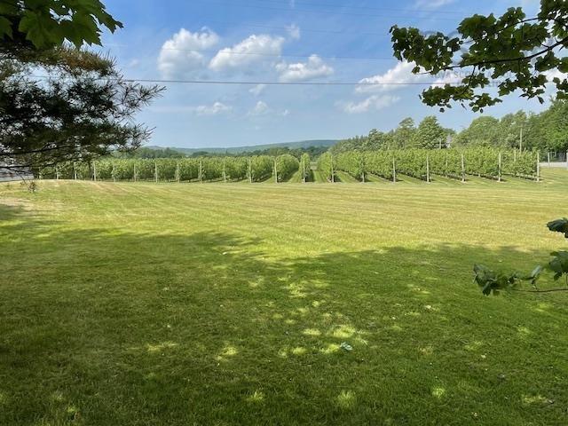 $2,600,000.00: 2481 Black Rock Road, Grafton