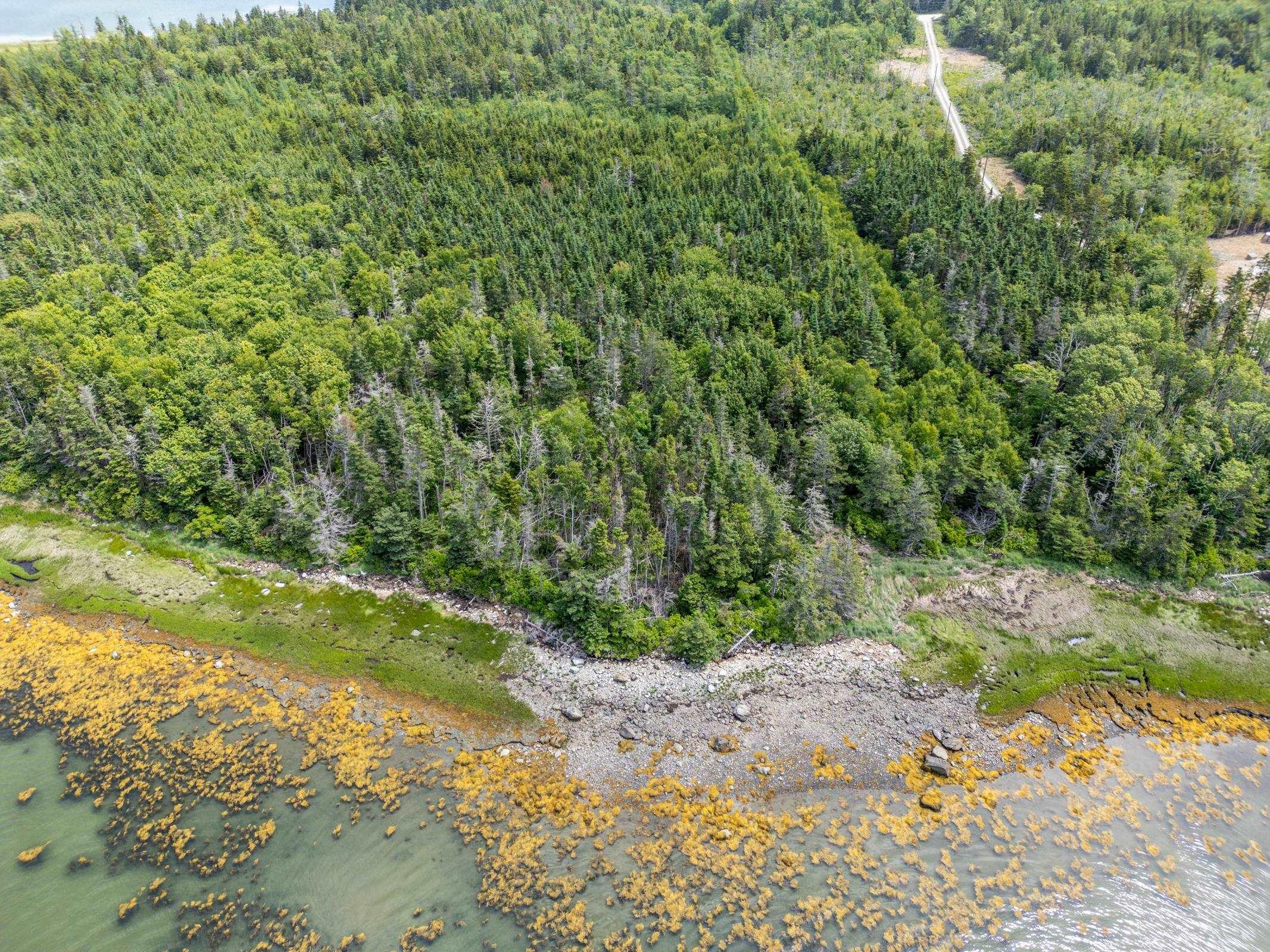 $45,000.00: Lot 0 Tittle Road, Surettes Island