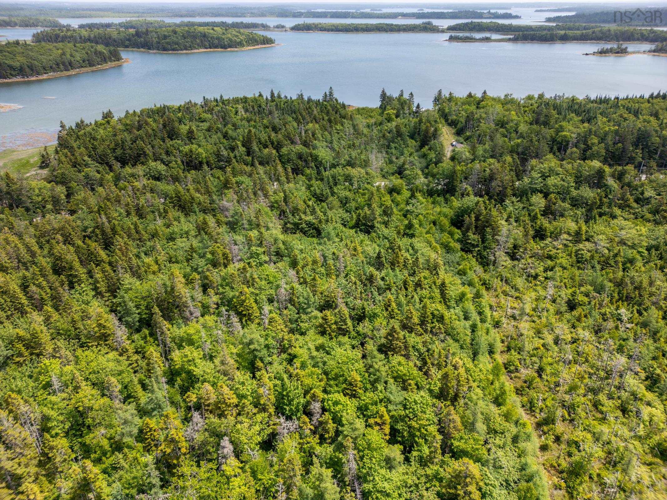 $45,000.00: Lot 0 Tittle Road, Surettes Island