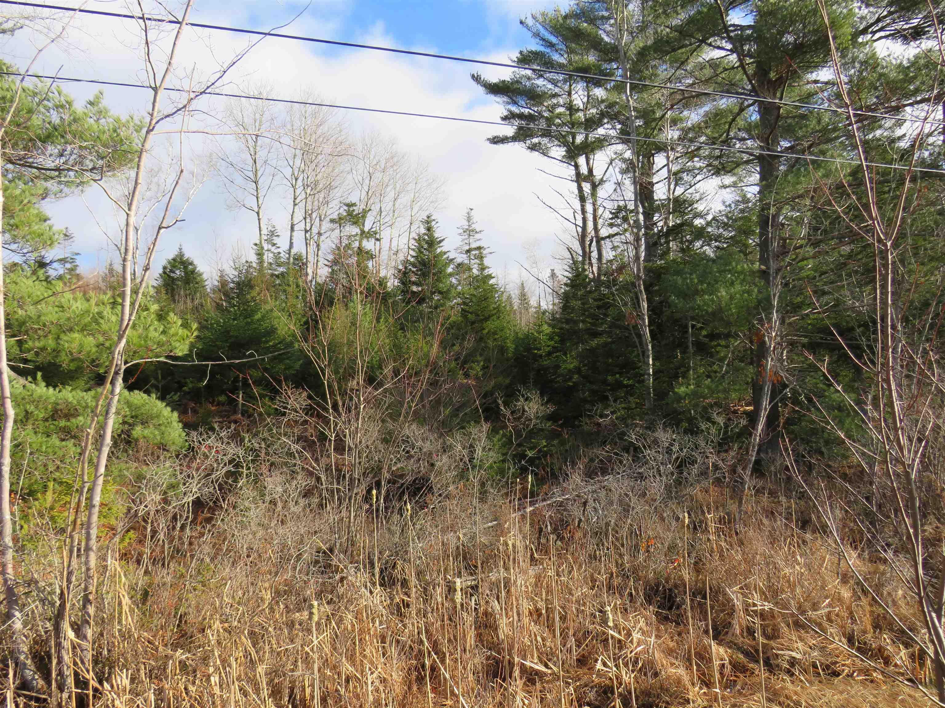 $99,000.00: Lot 1 3 Highway, Martins Brook