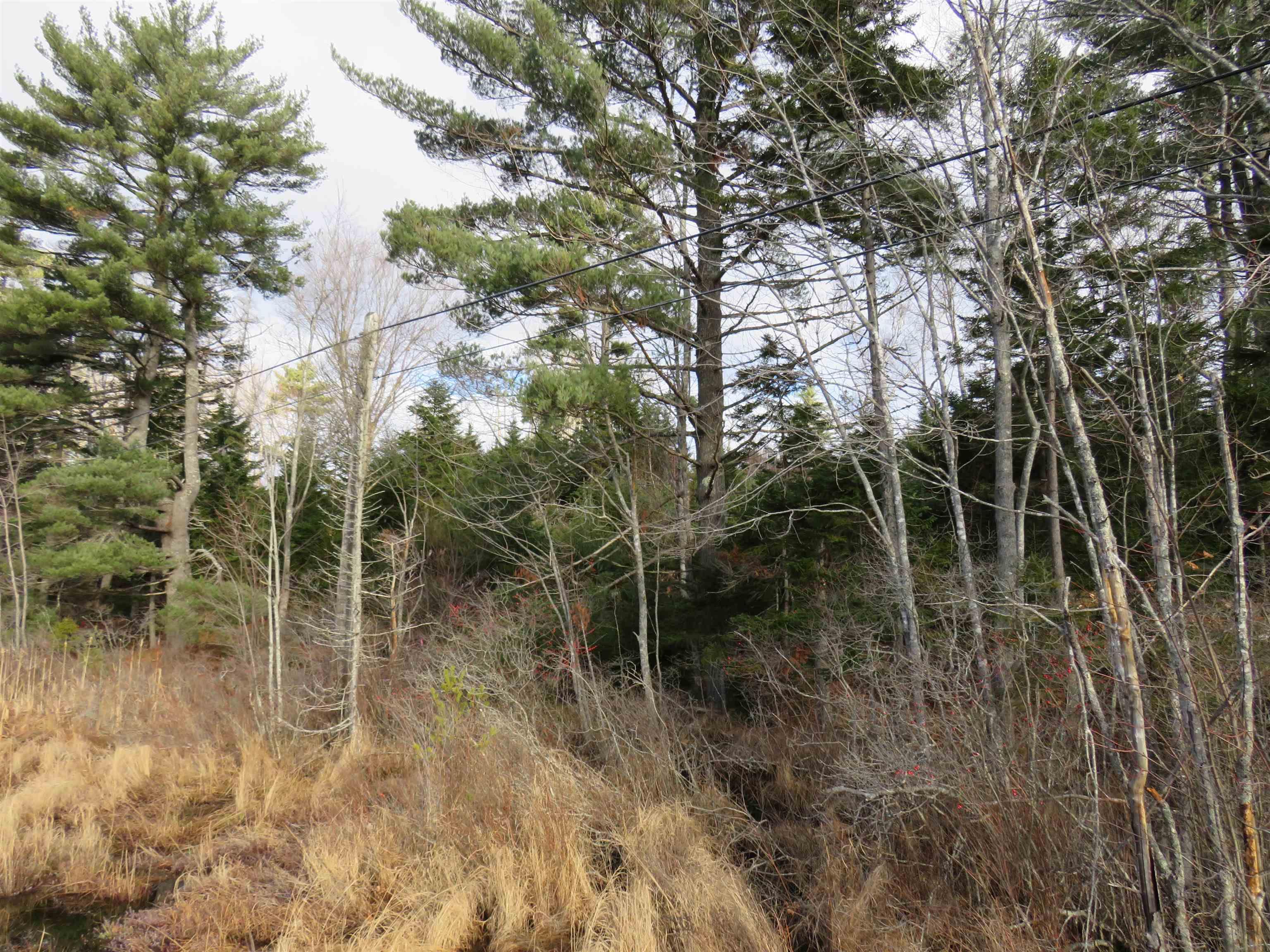$99,000.00: Lot 1 3 Highway, Martins Brook