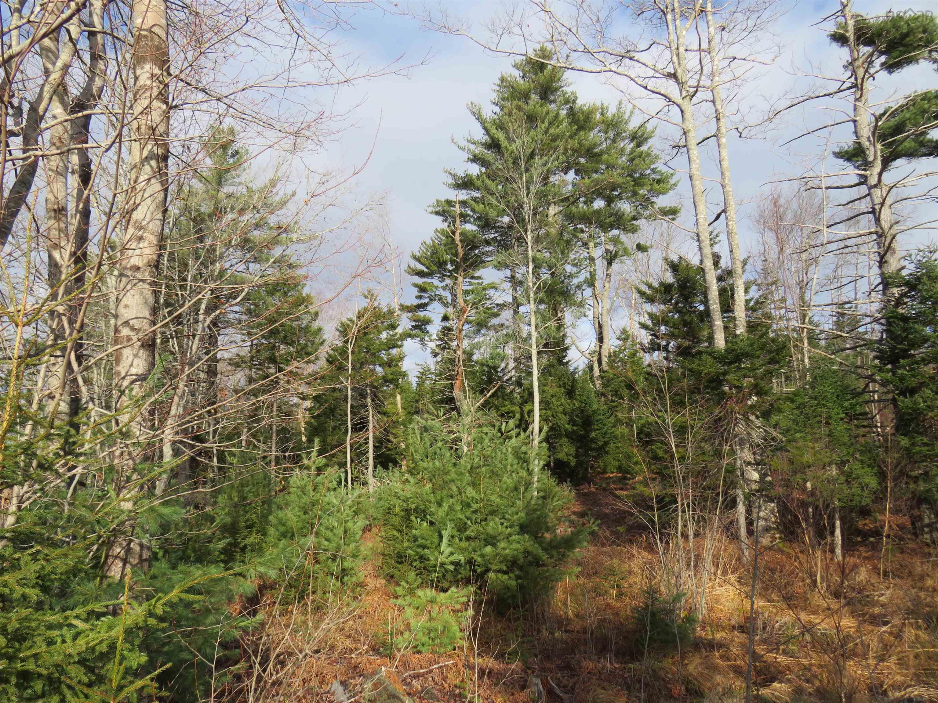 $99,000.00: Lot 1 3 Highway, Martins Brook