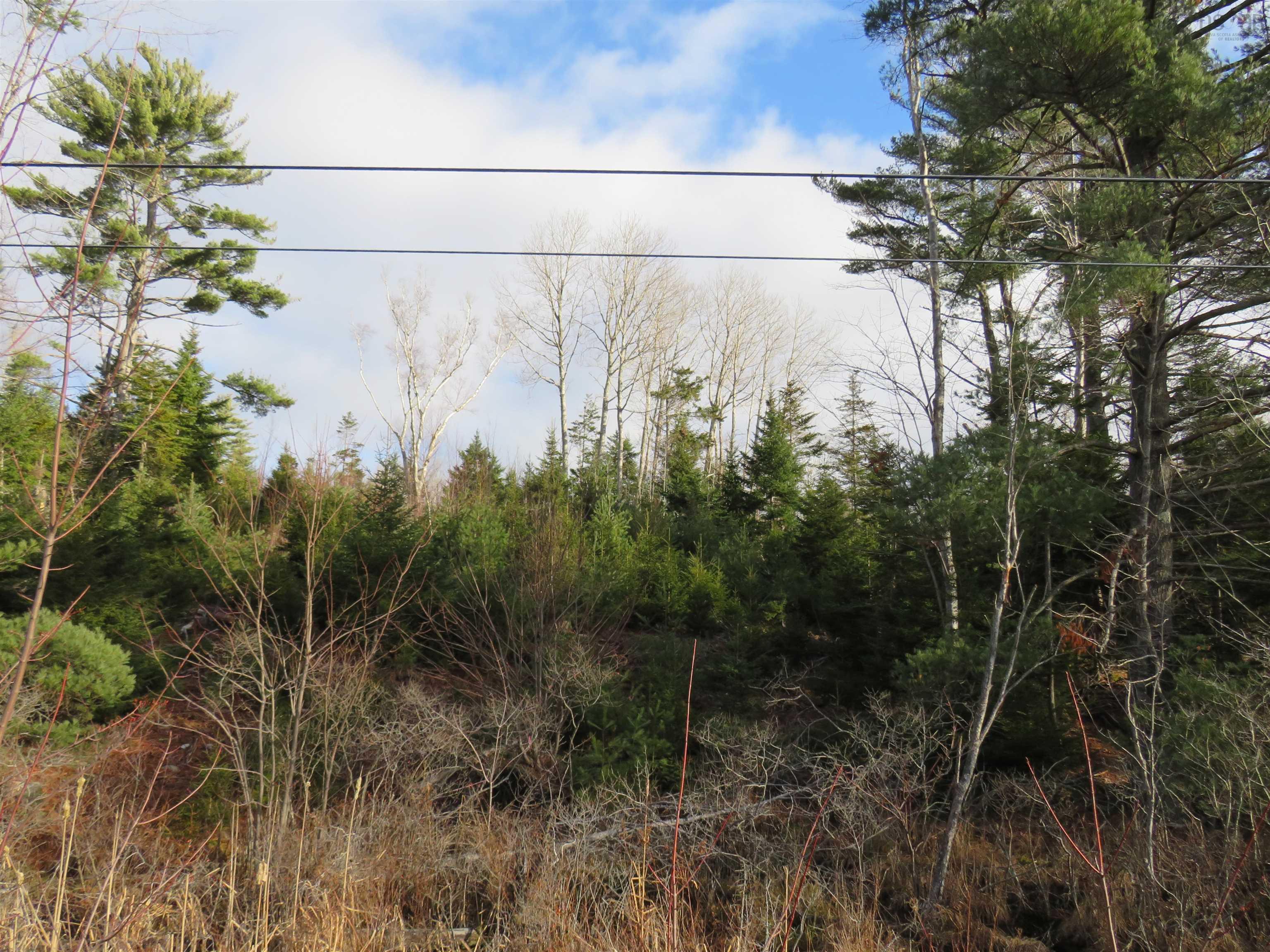 $99,000.00: Lot 1 3 Highway, Martins Brook