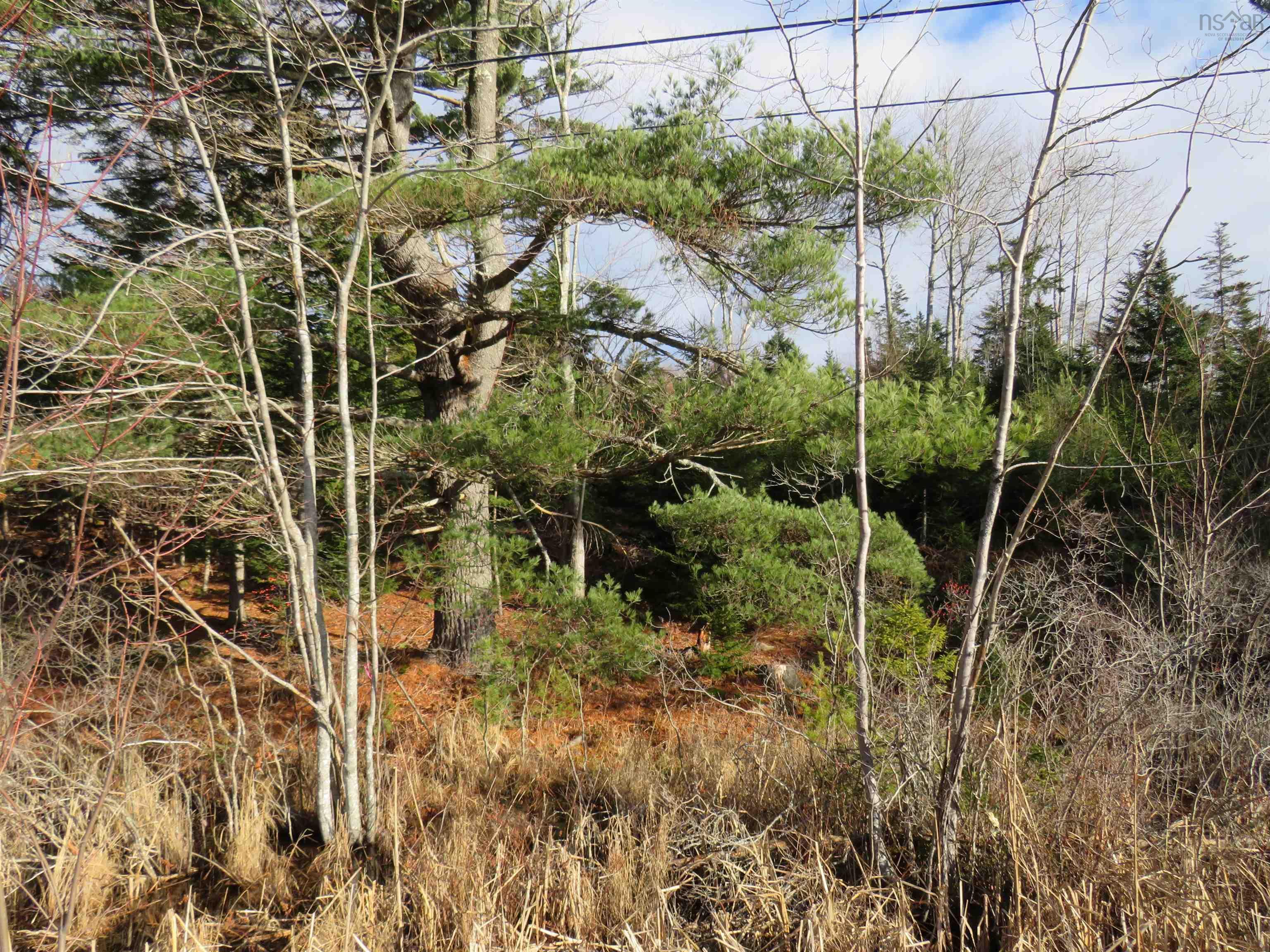 $99,000.00: Lot 1 3 Highway, Martins Brook