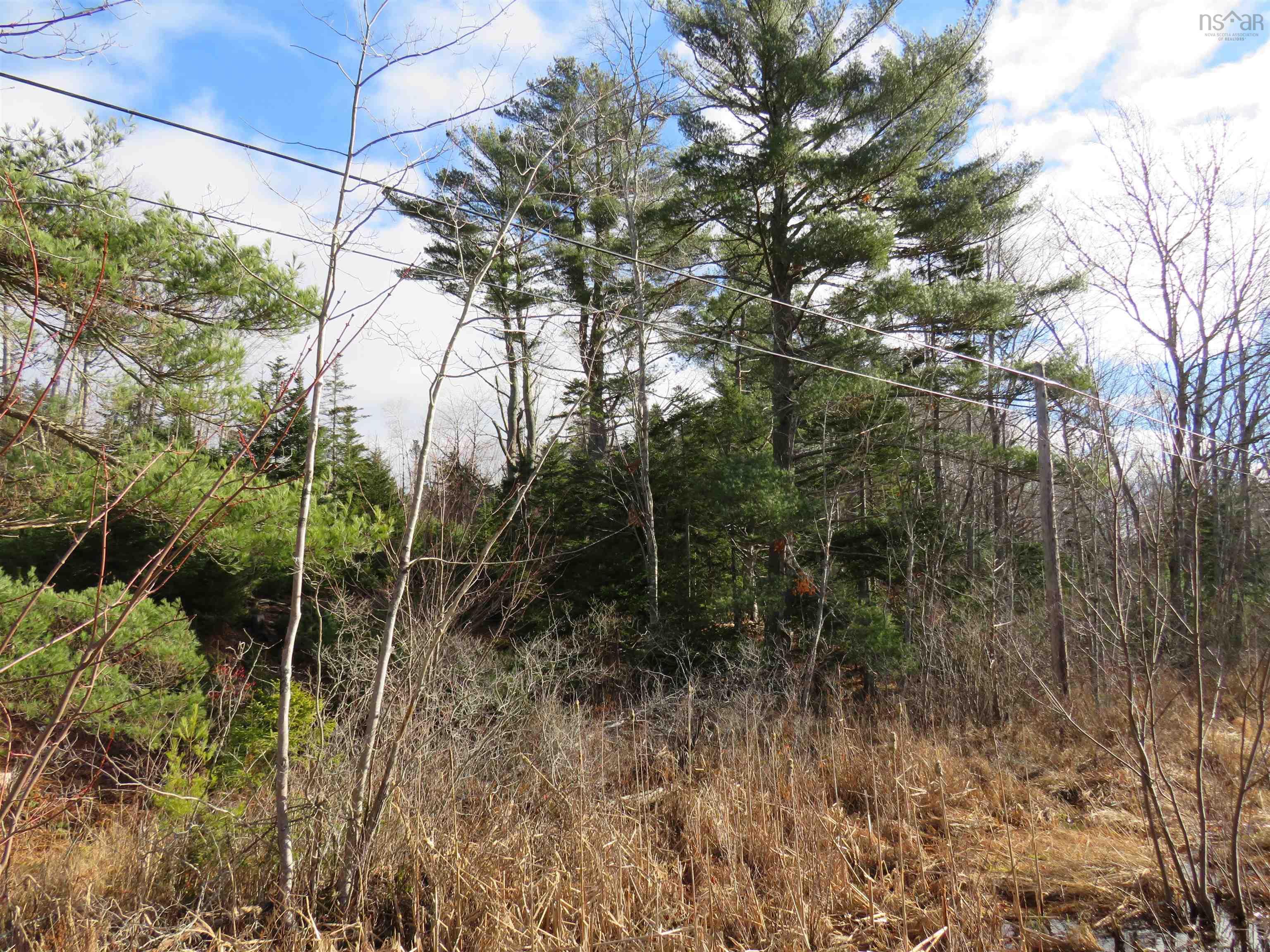 $99,000.00: Lot 1 3 Highway, Martins Brook