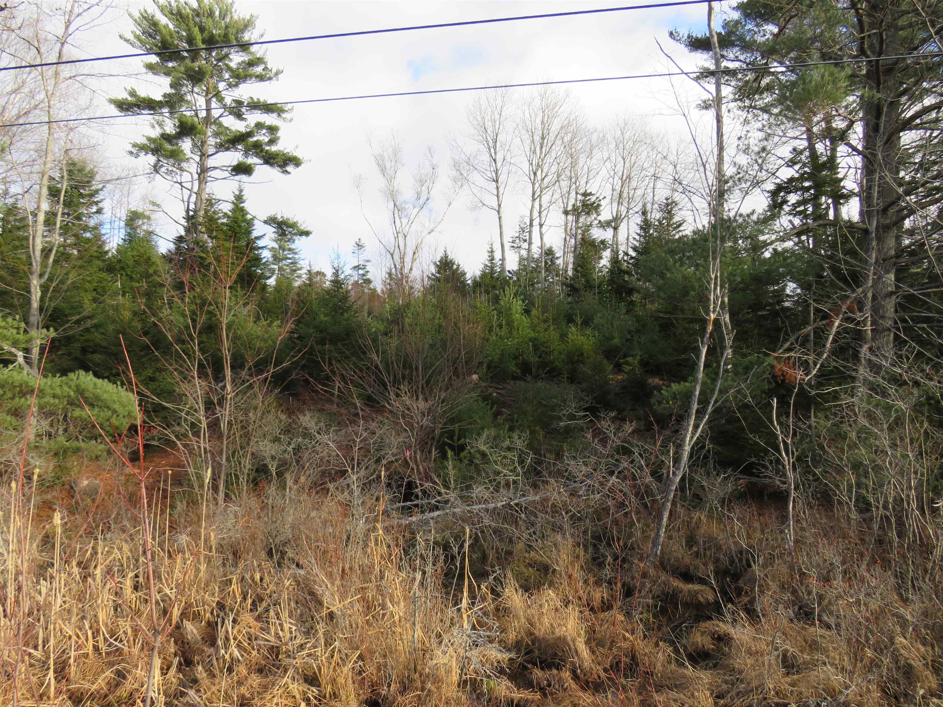 $99,000.00: Lot 1 3 Highway, Martins Brook