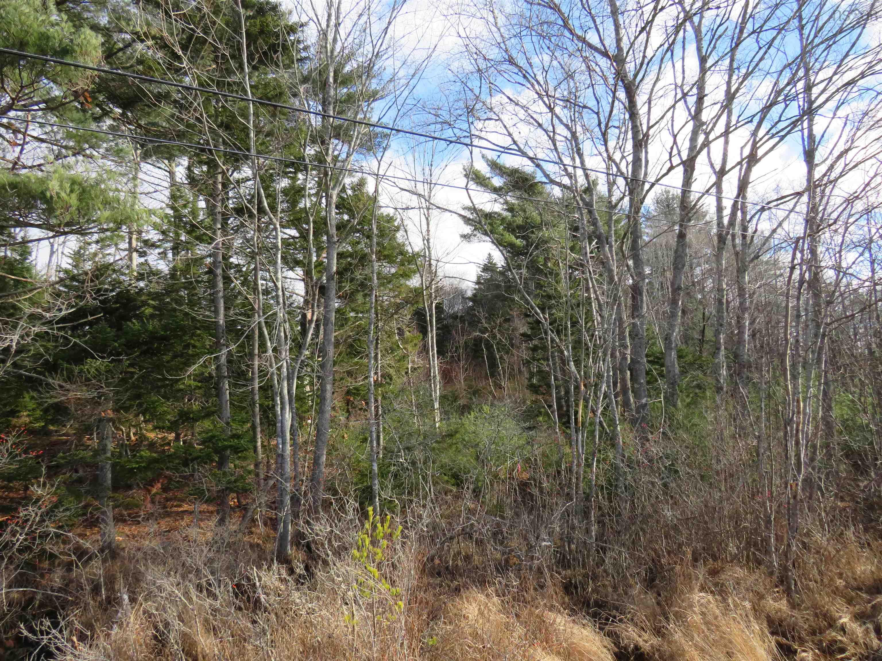 $99,000.00: Lot 1 3 Highway, Martins Brook
