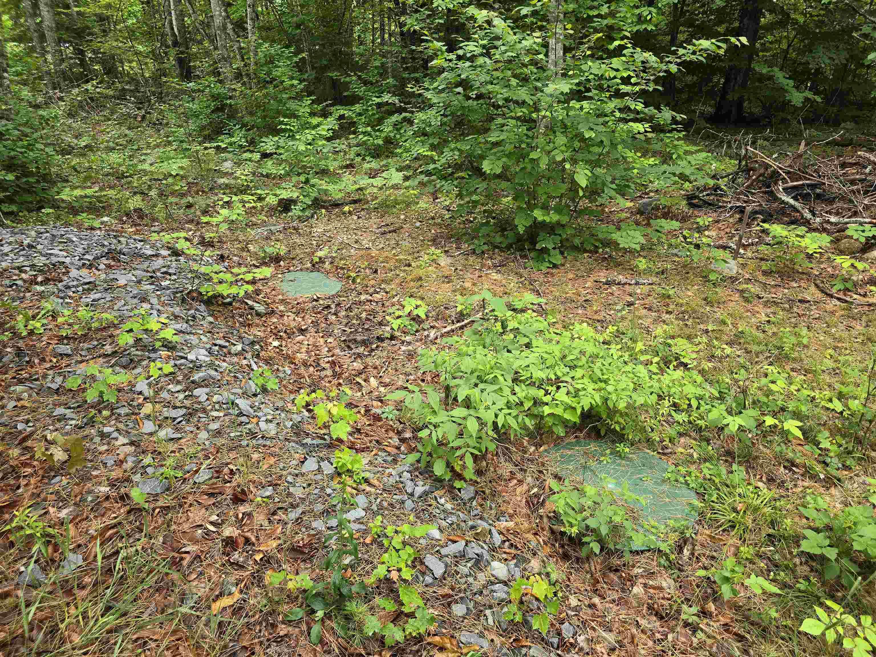 $149,900.00: Lot 1 Selig Road, East Clifford
