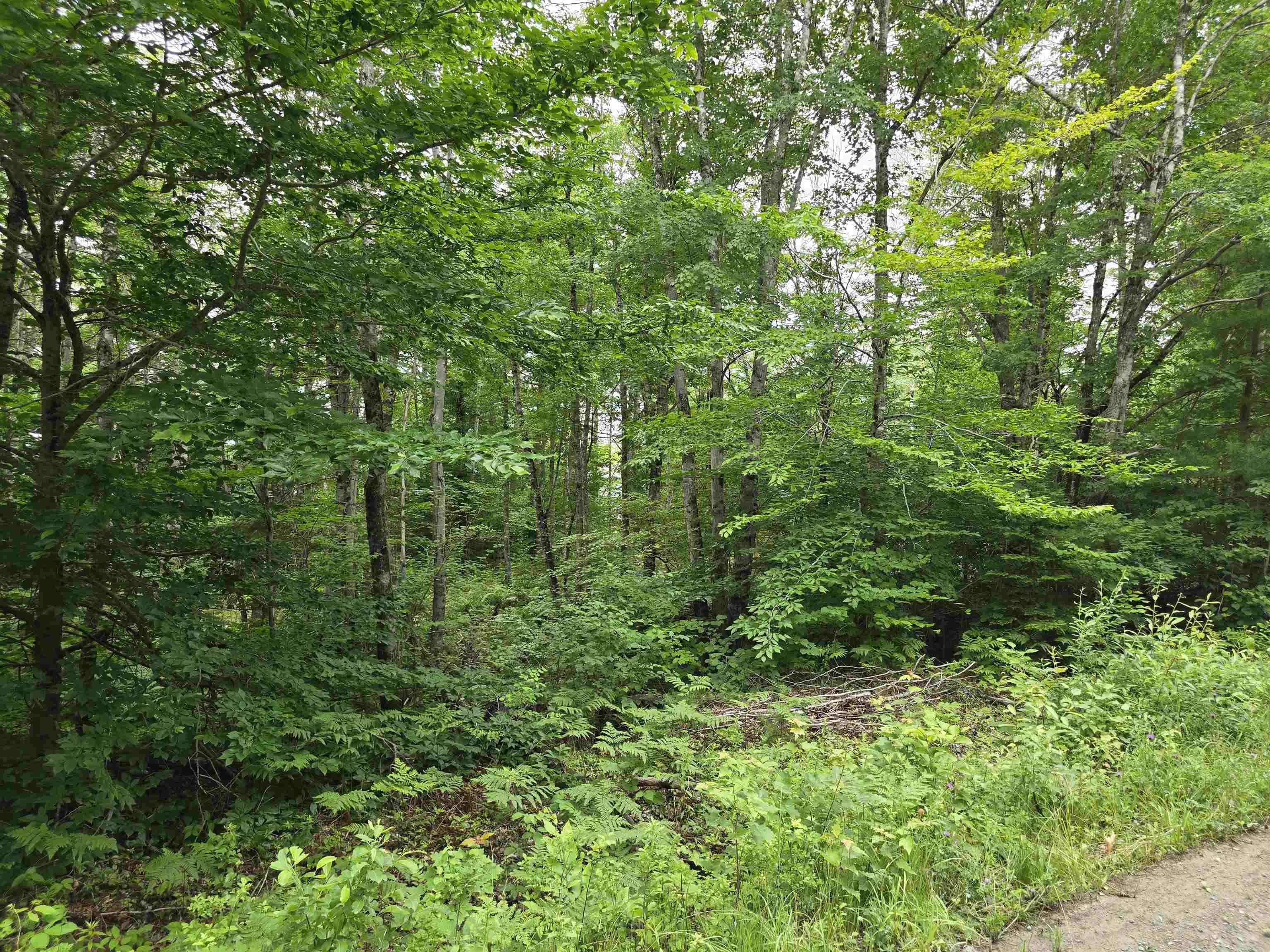 $149,900.00: Lot 1 Selig Road, East Clifford