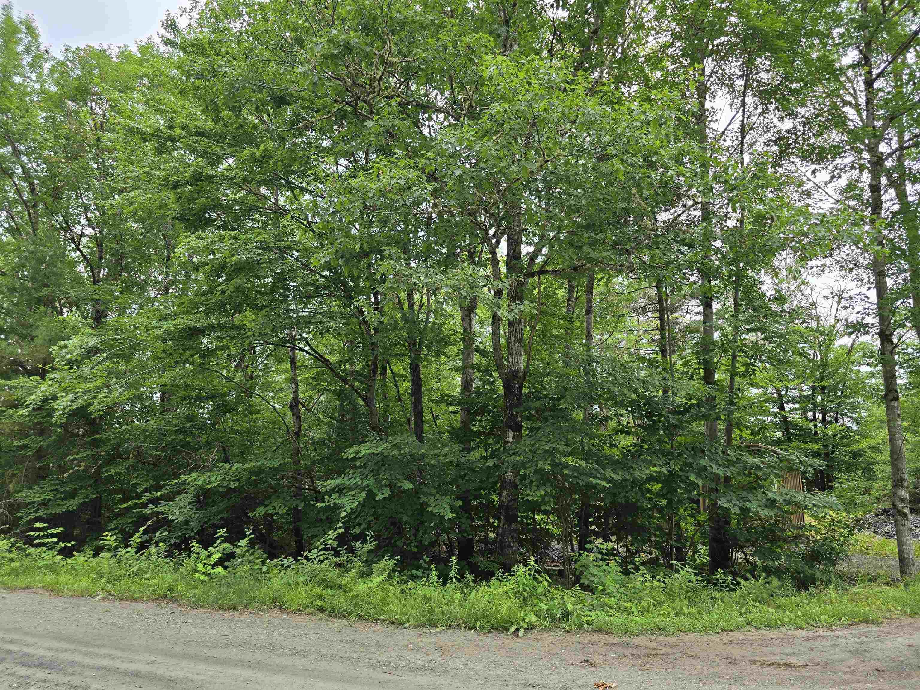$149,900.00: Lot 1 Selig Road, East Clifford