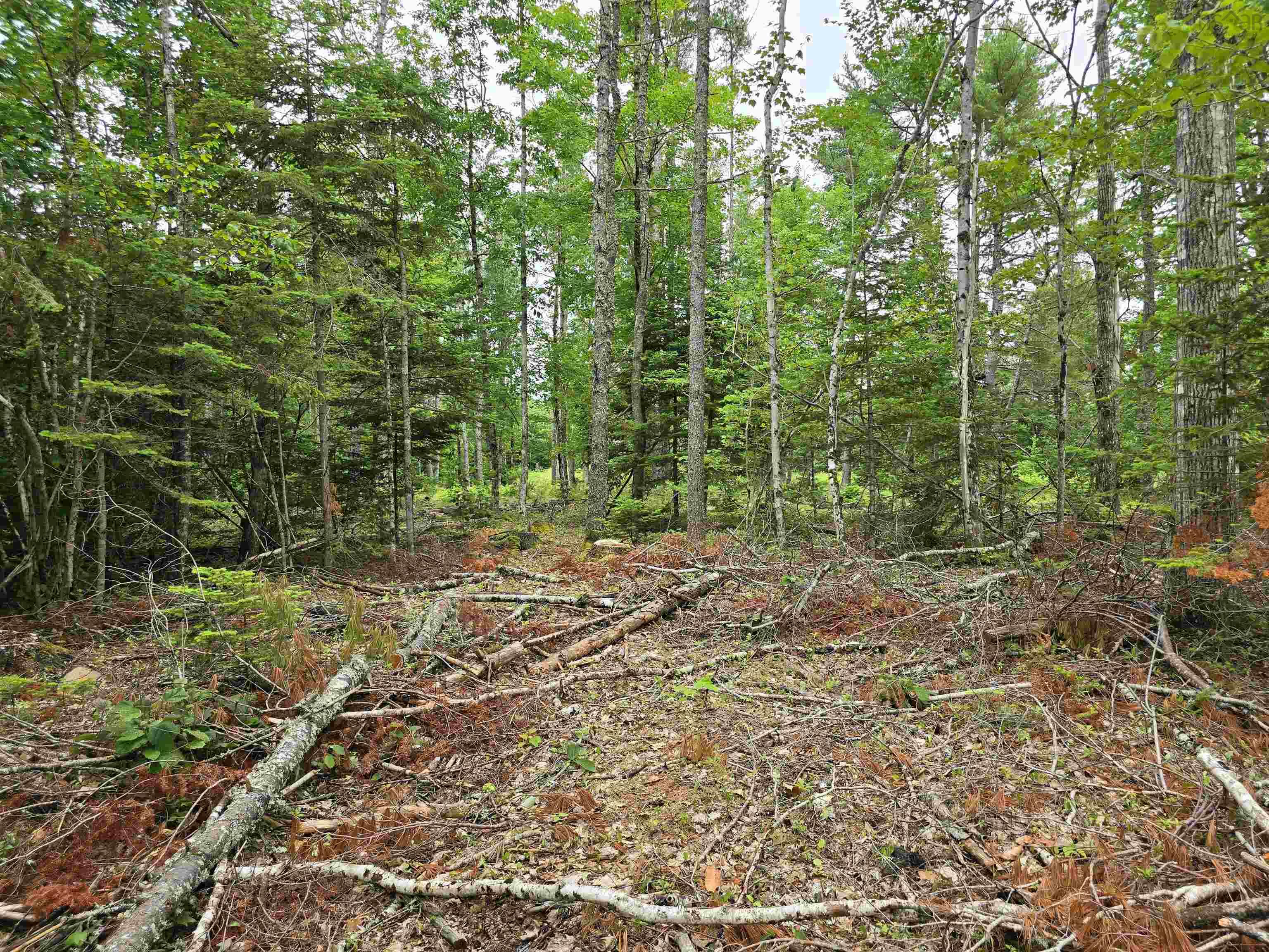 $149,900.00: Lot 1 Selig Road, East Clifford