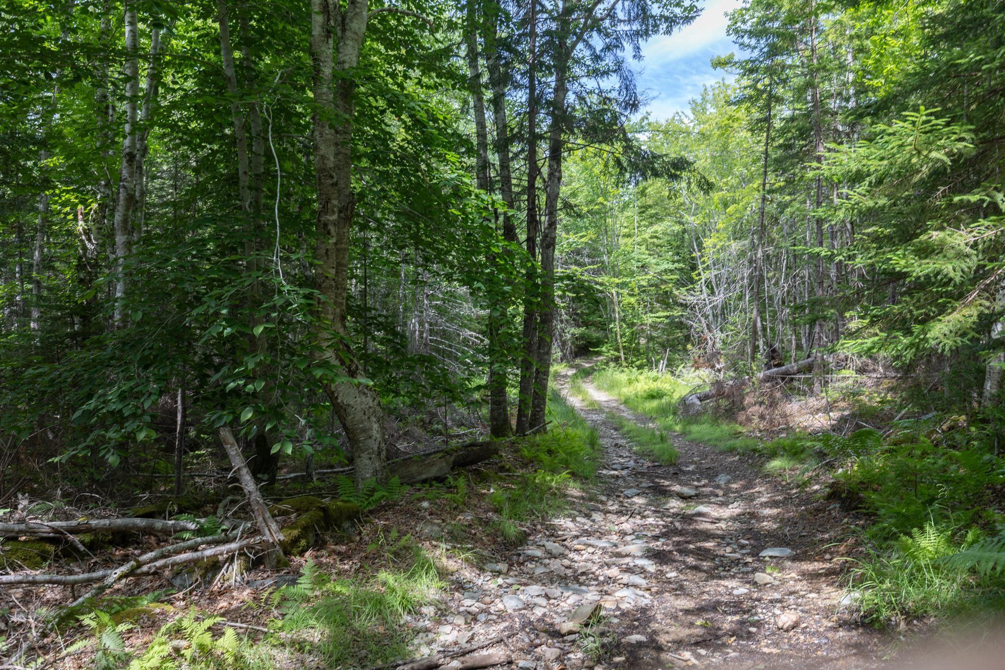 $119,900.00: Lots Gordons Trail, Canaan