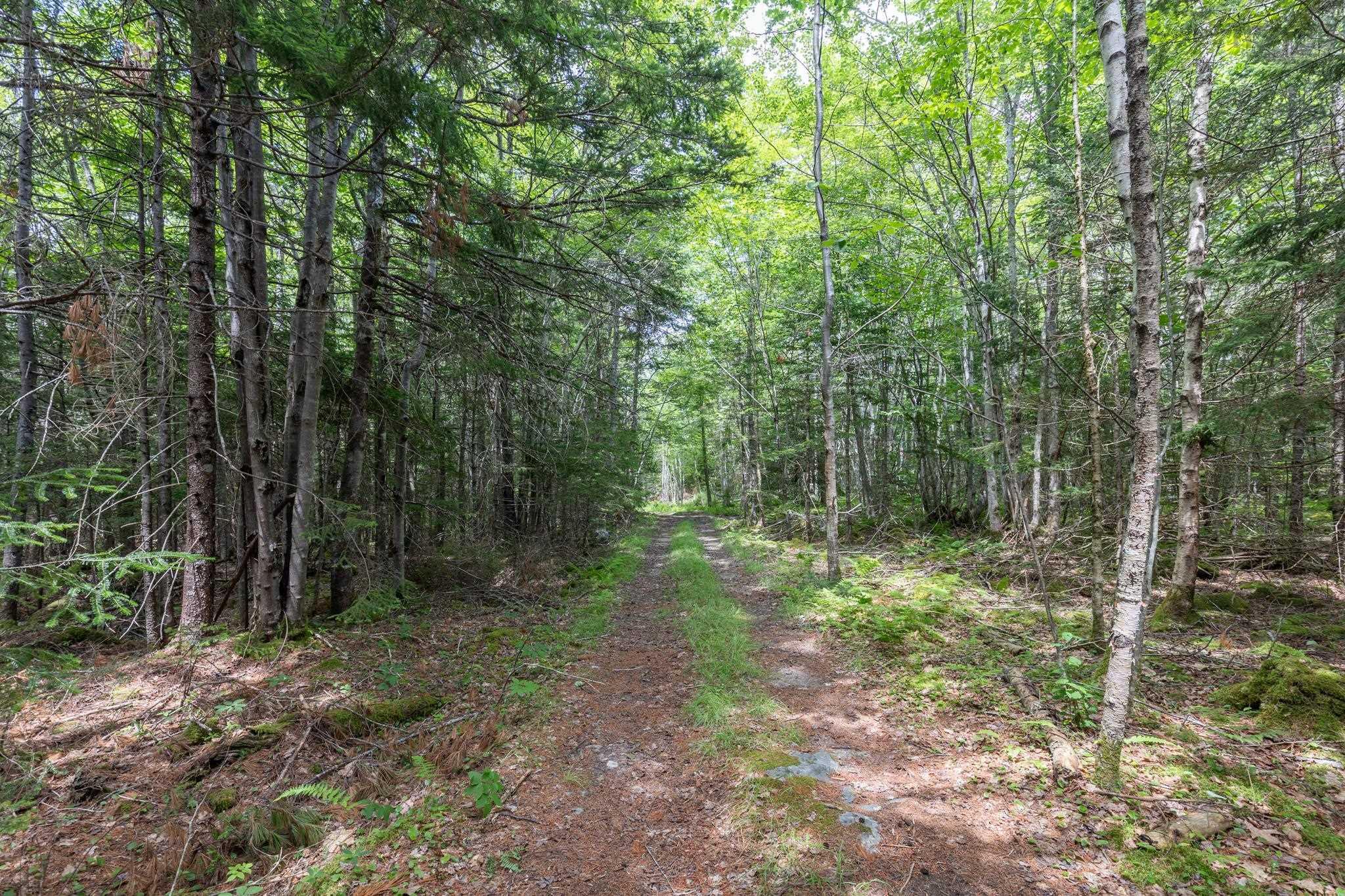 $119,900.00: Lots Gordons Trail, Canaan