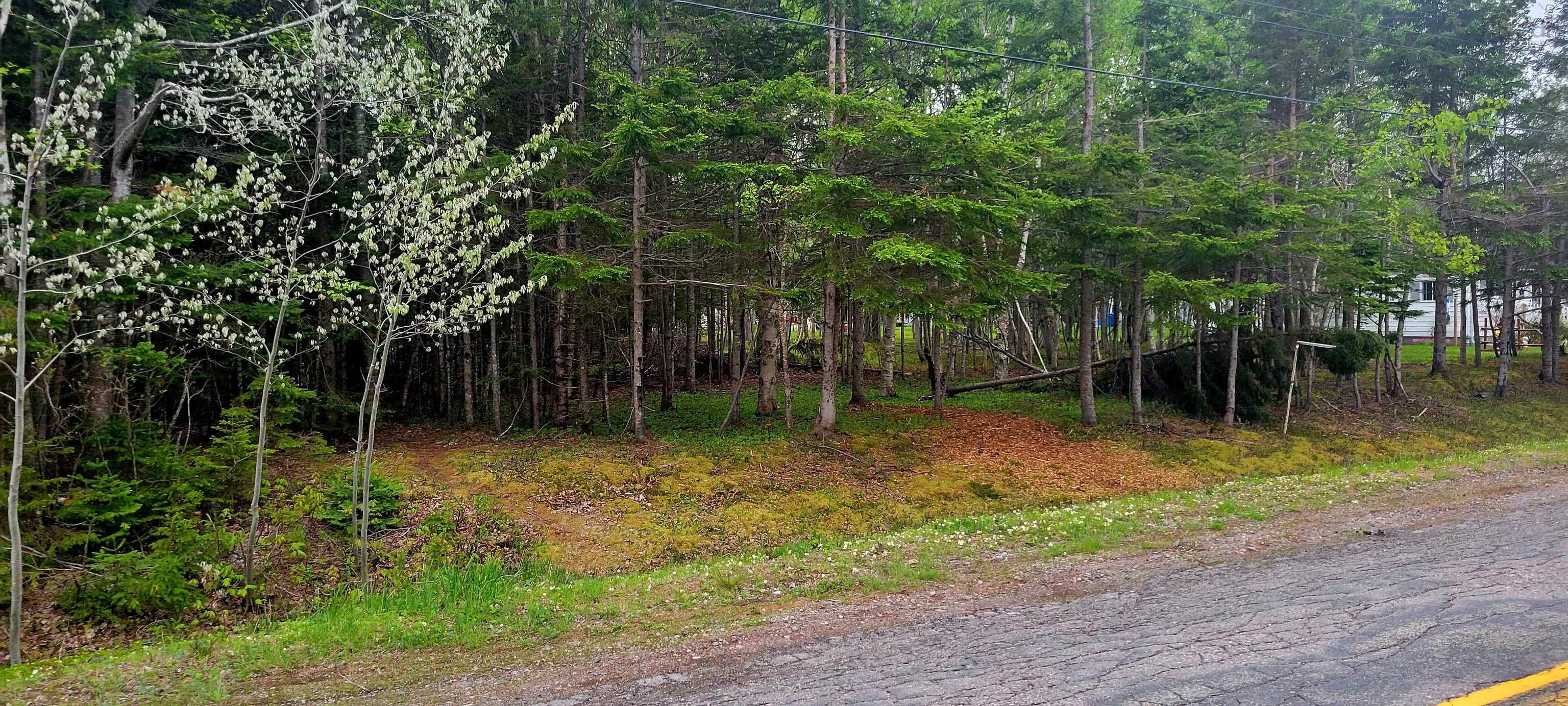 $19,000.00: No # Calabash Road, Southside Boularderie