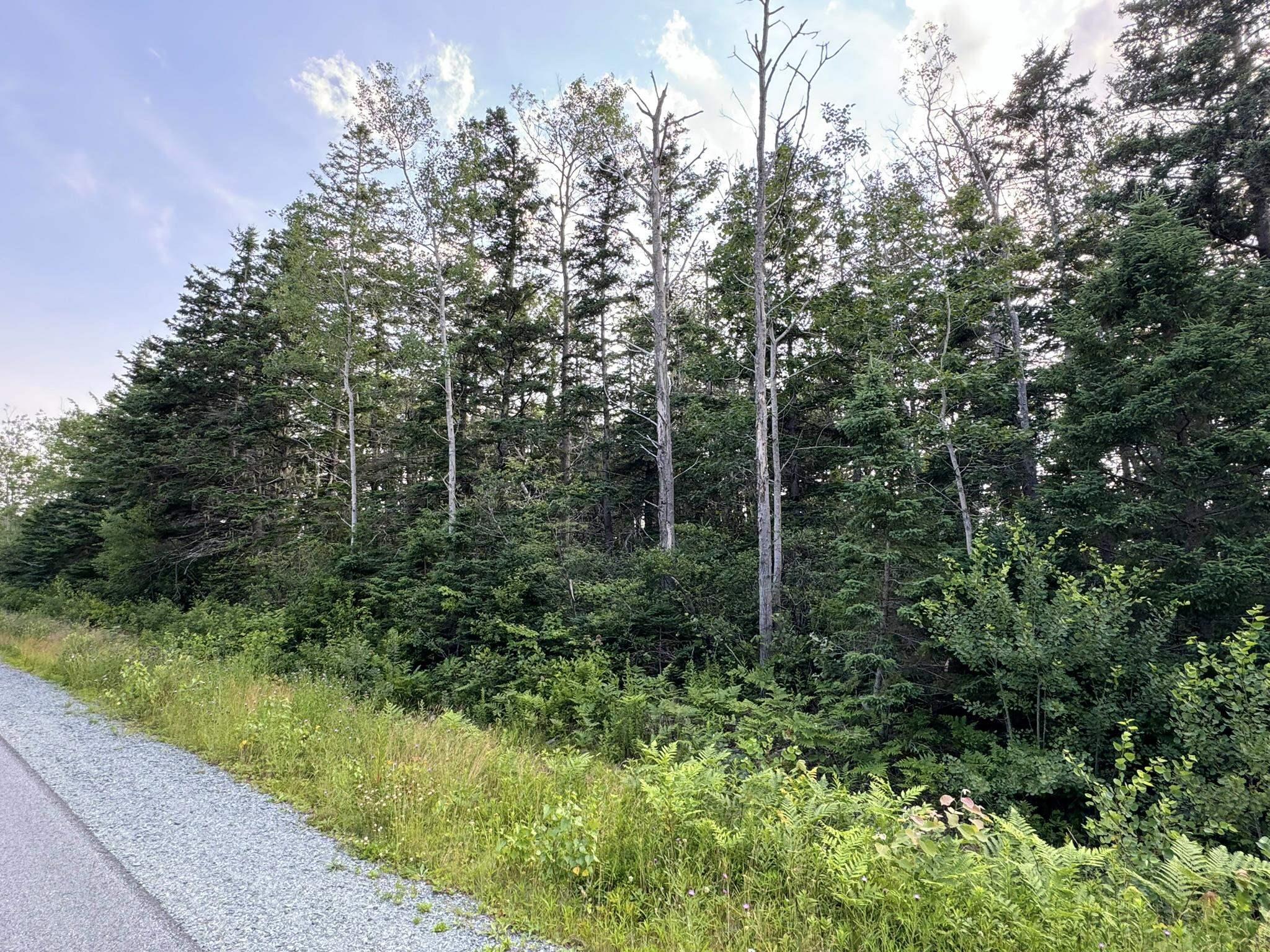 $24,900.00: Lot 10 Eastern Shore Road, Port Medway