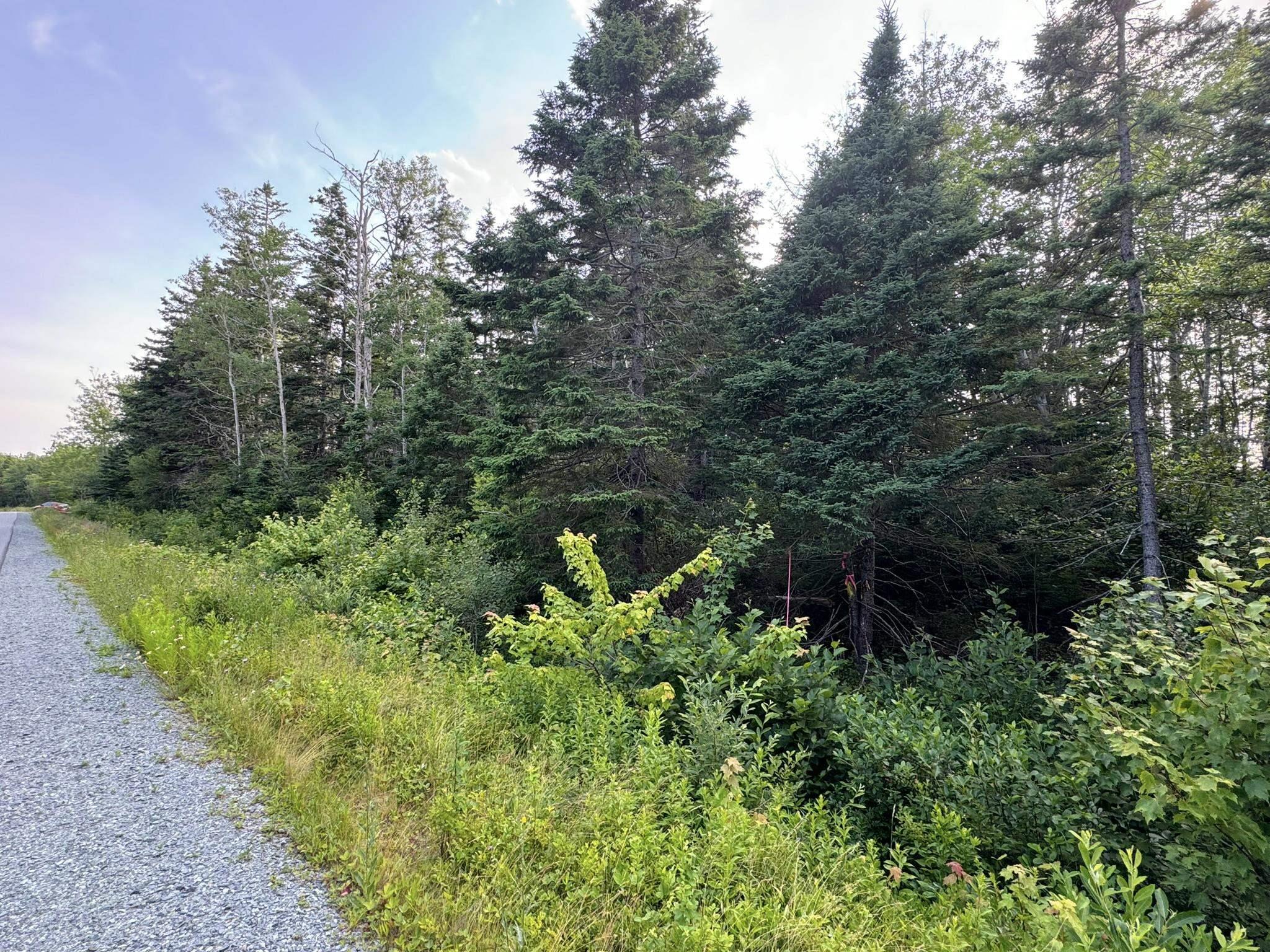 $24,900.00: Lot 10 Eastern Shore Road, Port Medway