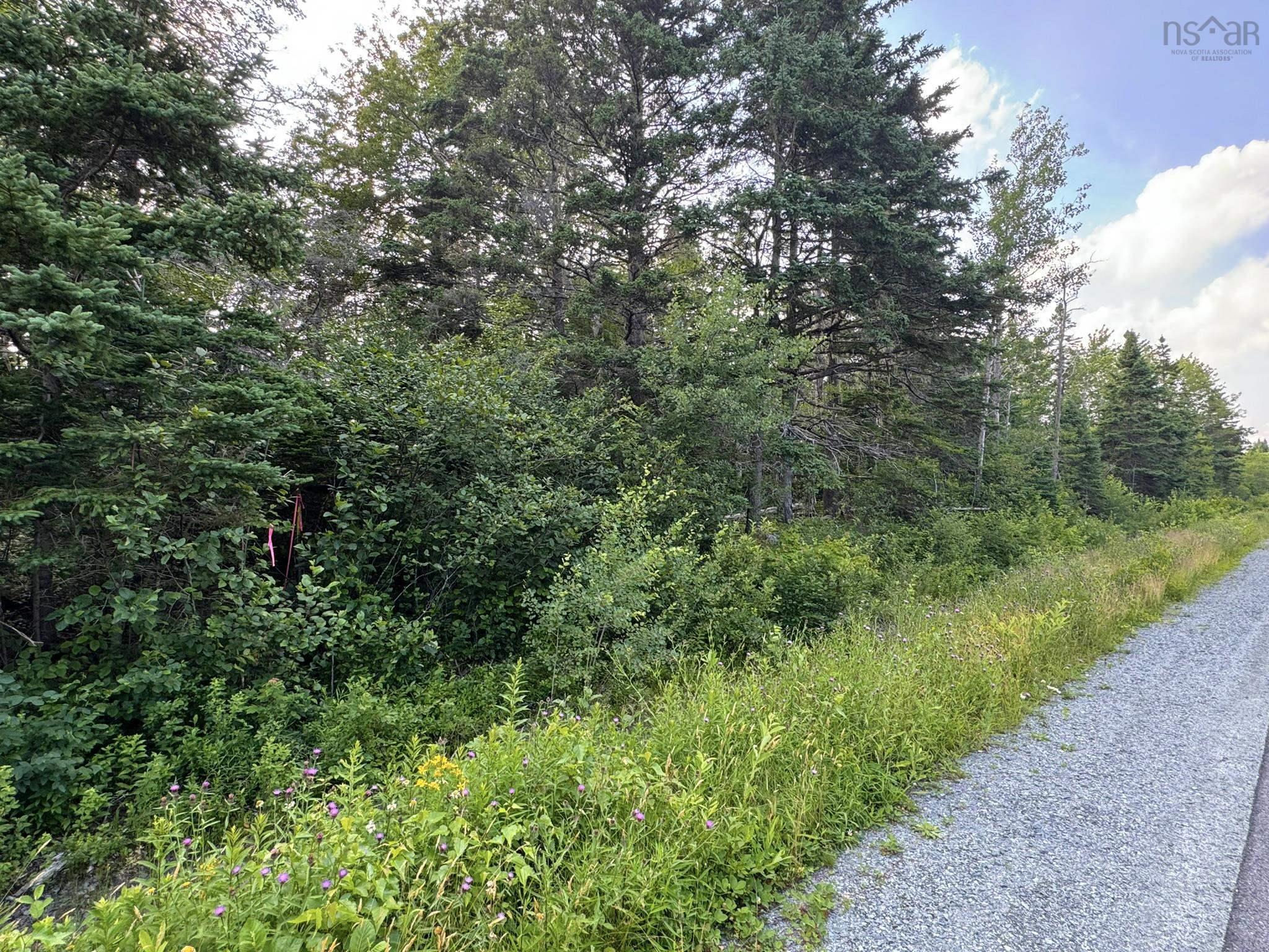 $24,900.00: Lot 10 Eastern Shore Road, Port Medway